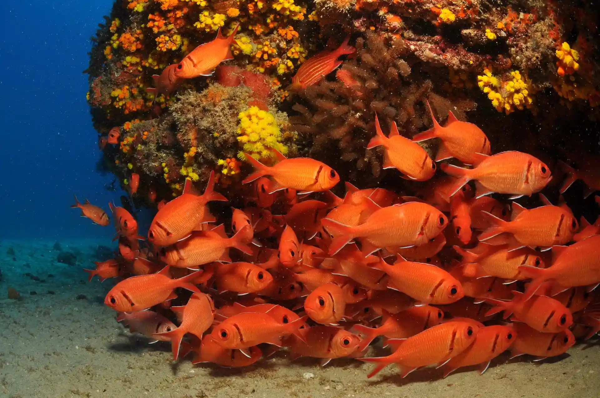 Dive site photo
