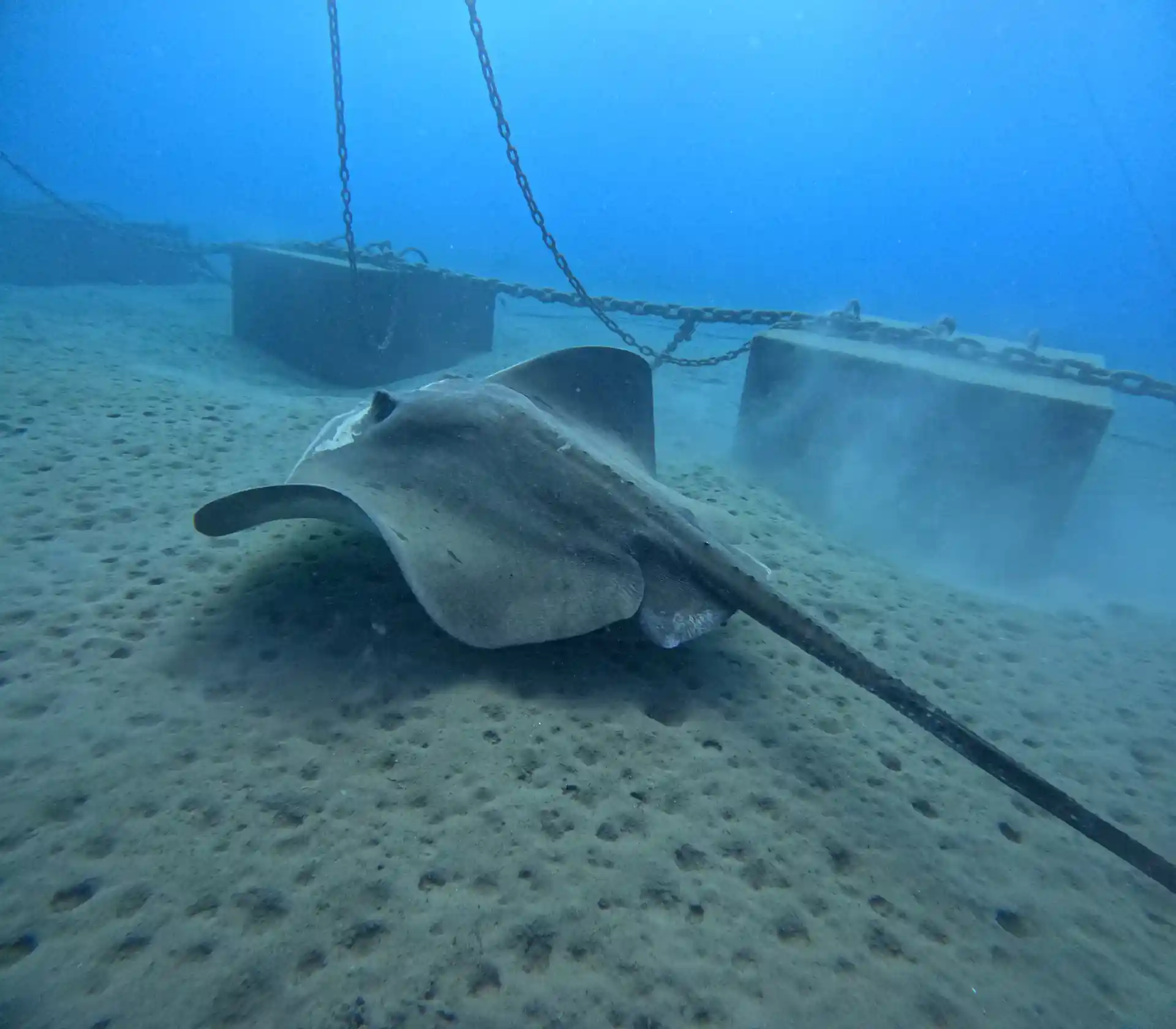 Photo de l'activité