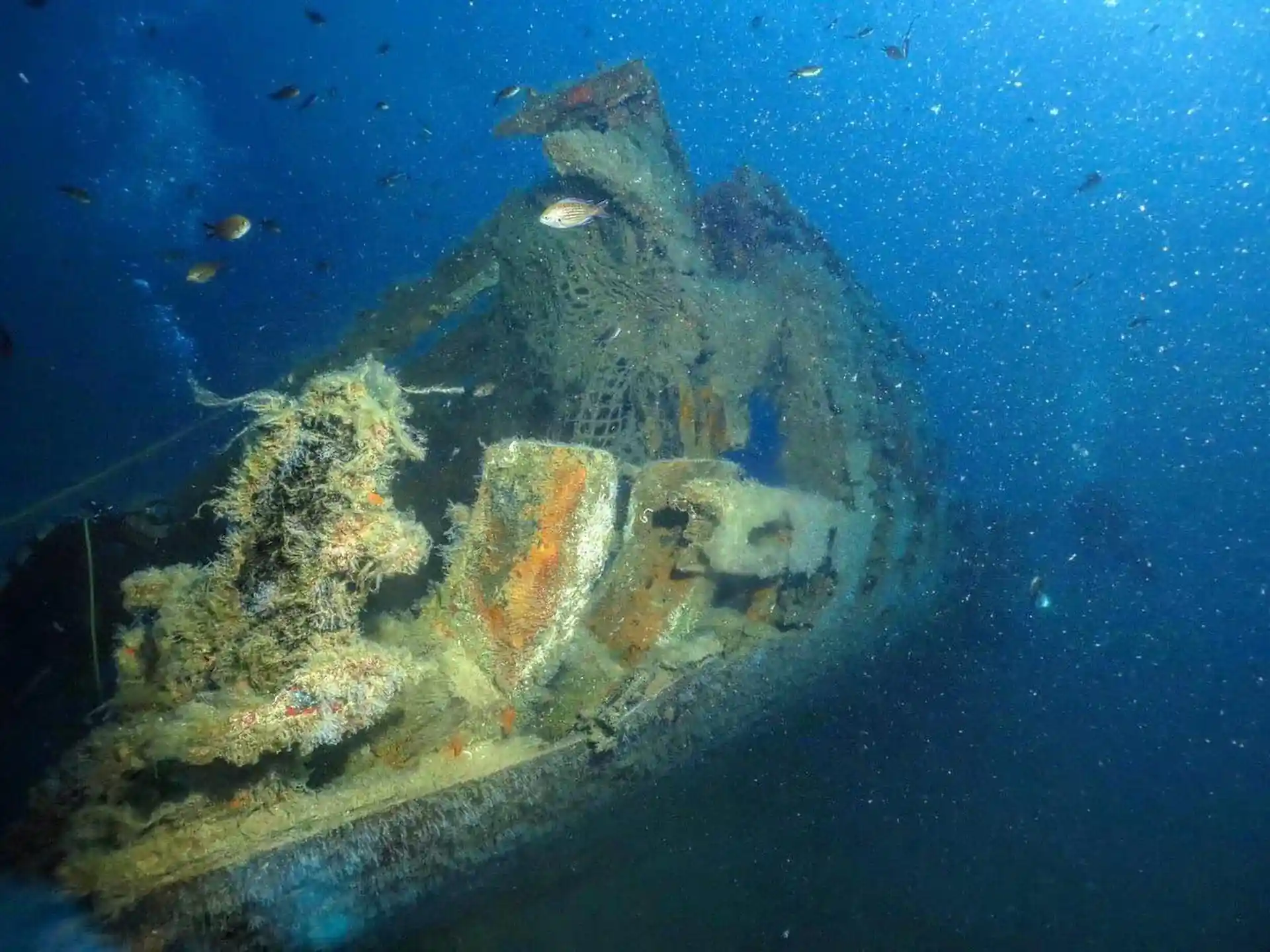 Foto de la actividad