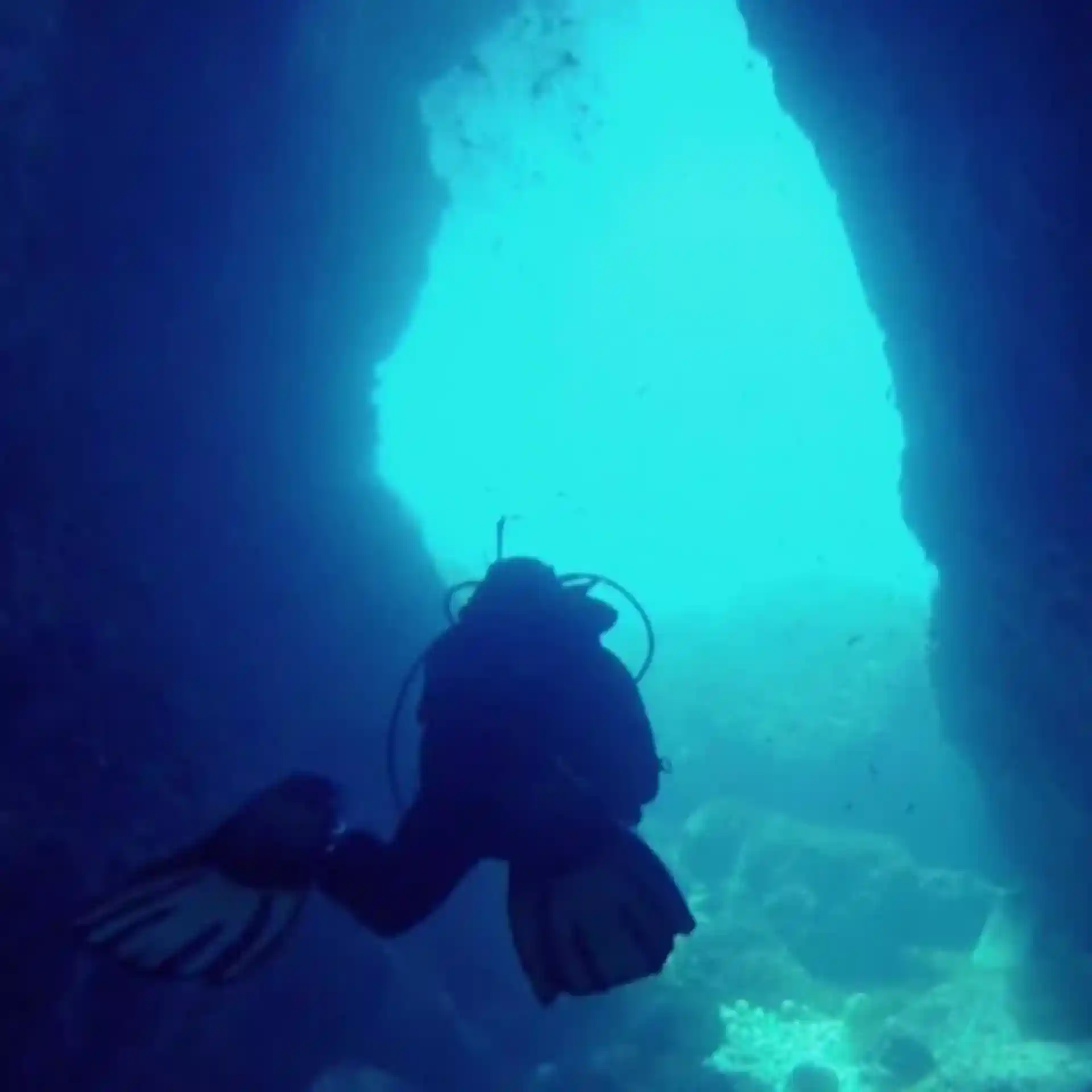 Dive site photo
