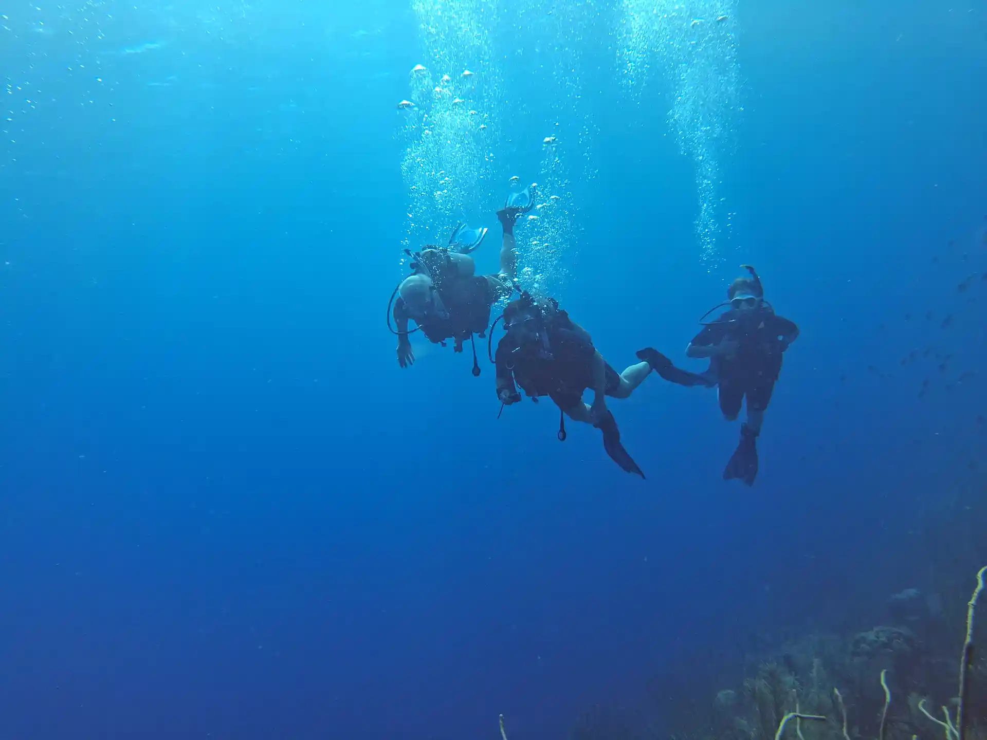 Guided dives on Bonaire with Scuba Elite: max 4 divers per guide for safety, comfort, and a fully personalized diving experience.
