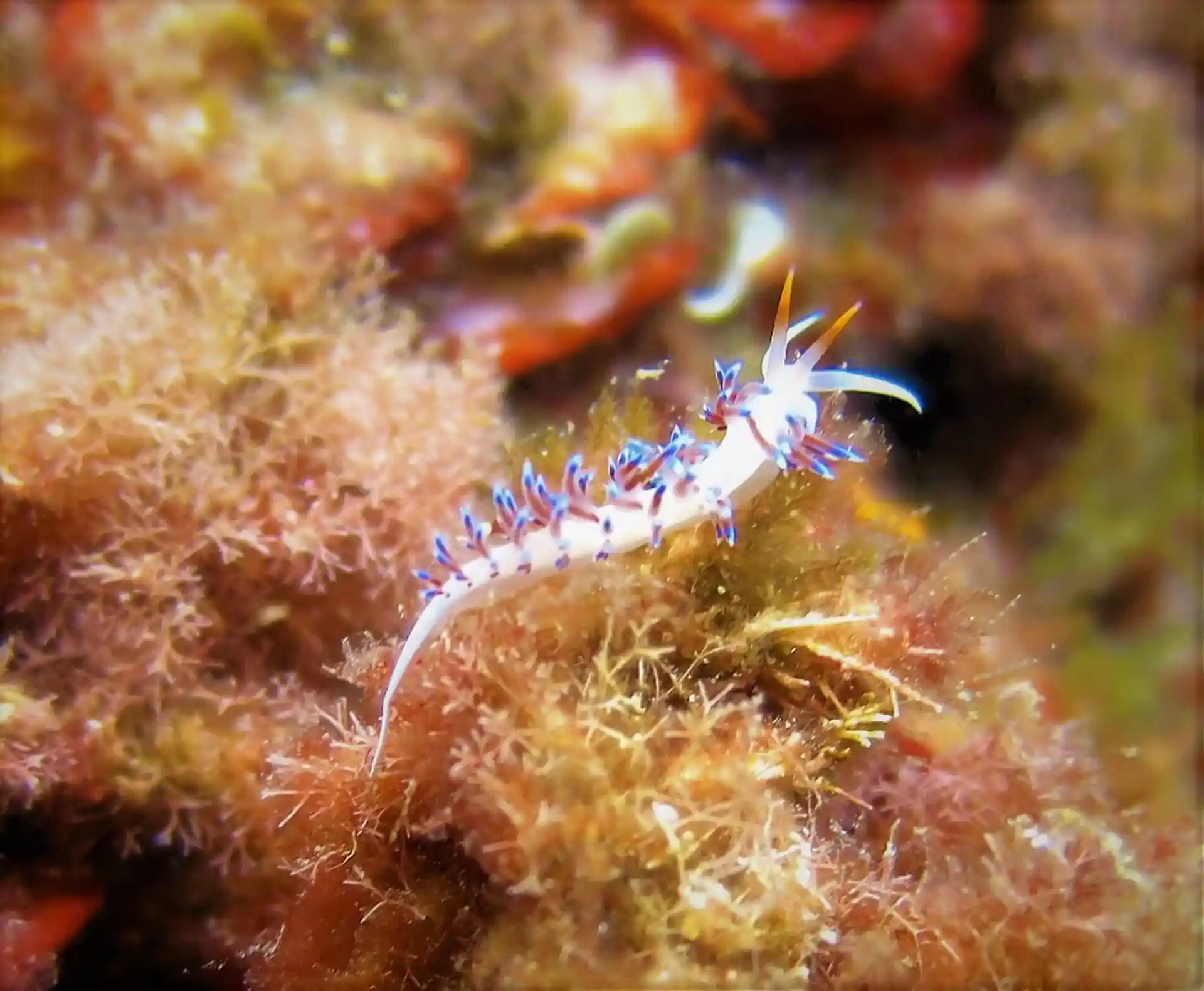 Dive site photo