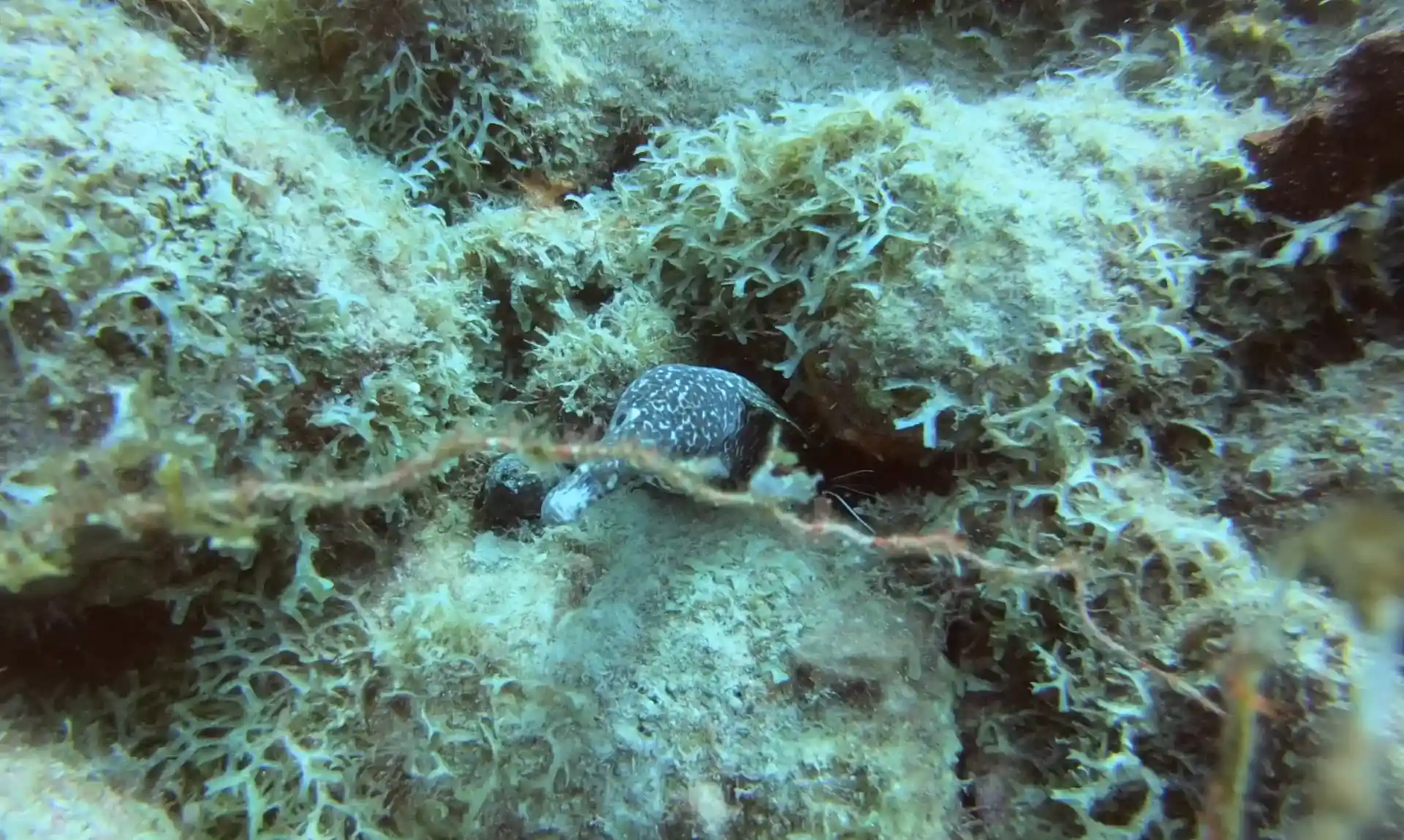 다이빙 포인트 사진