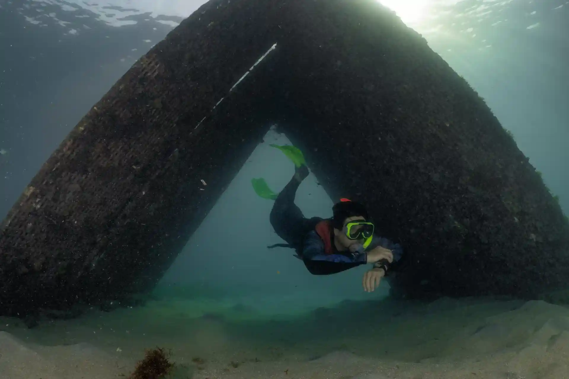 Dive shop photo