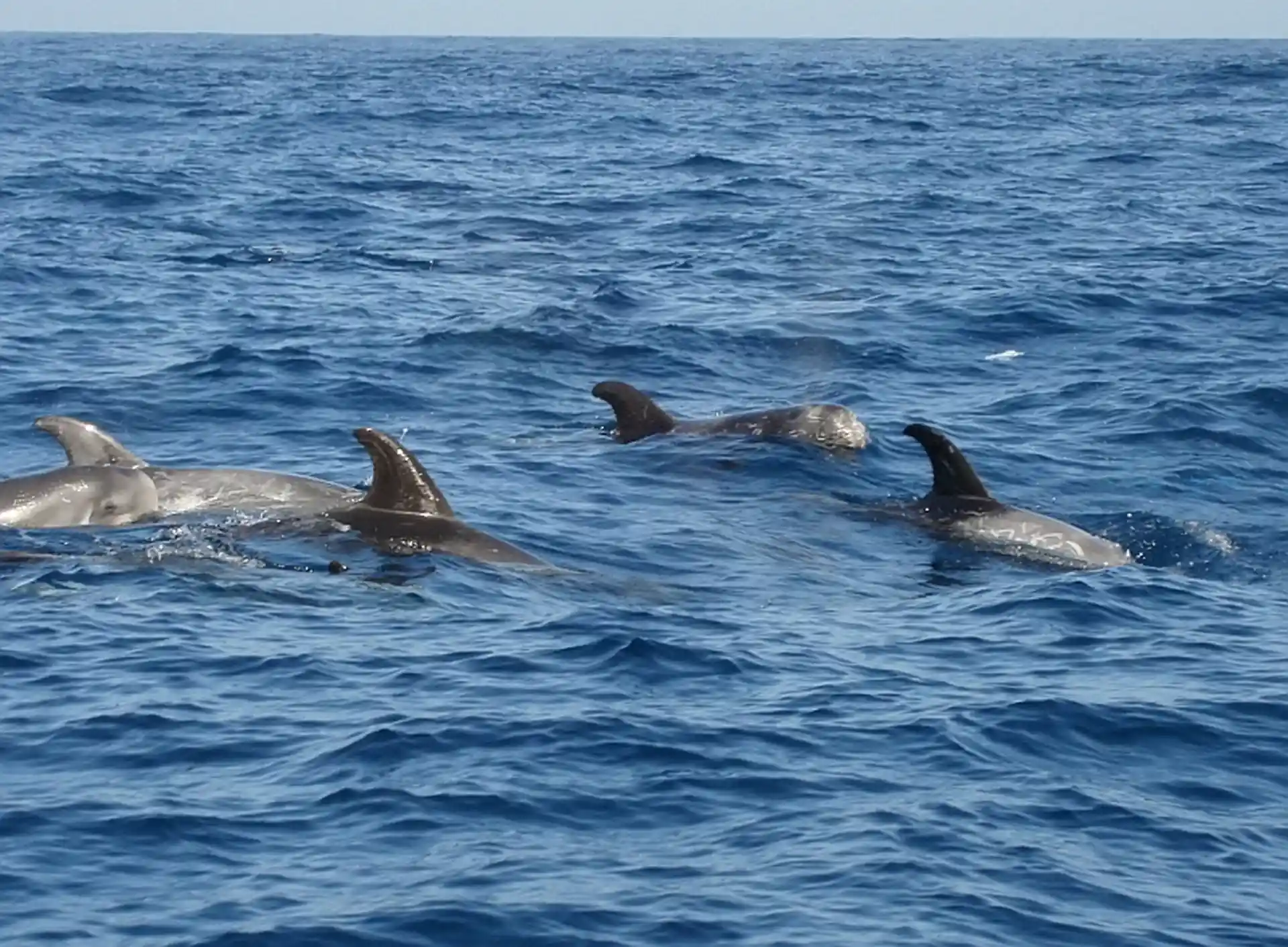 Dive site photo