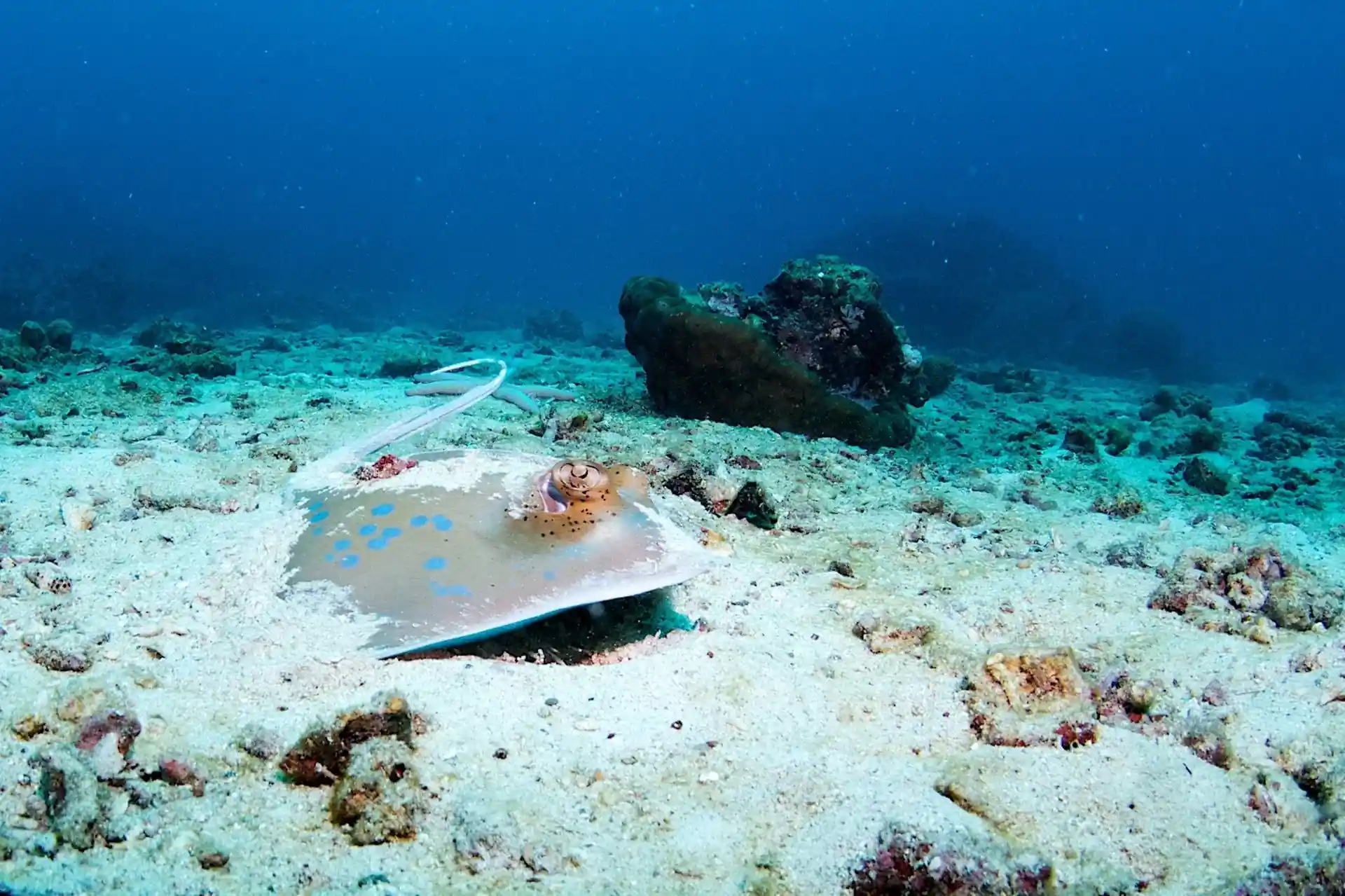 Dive site photo