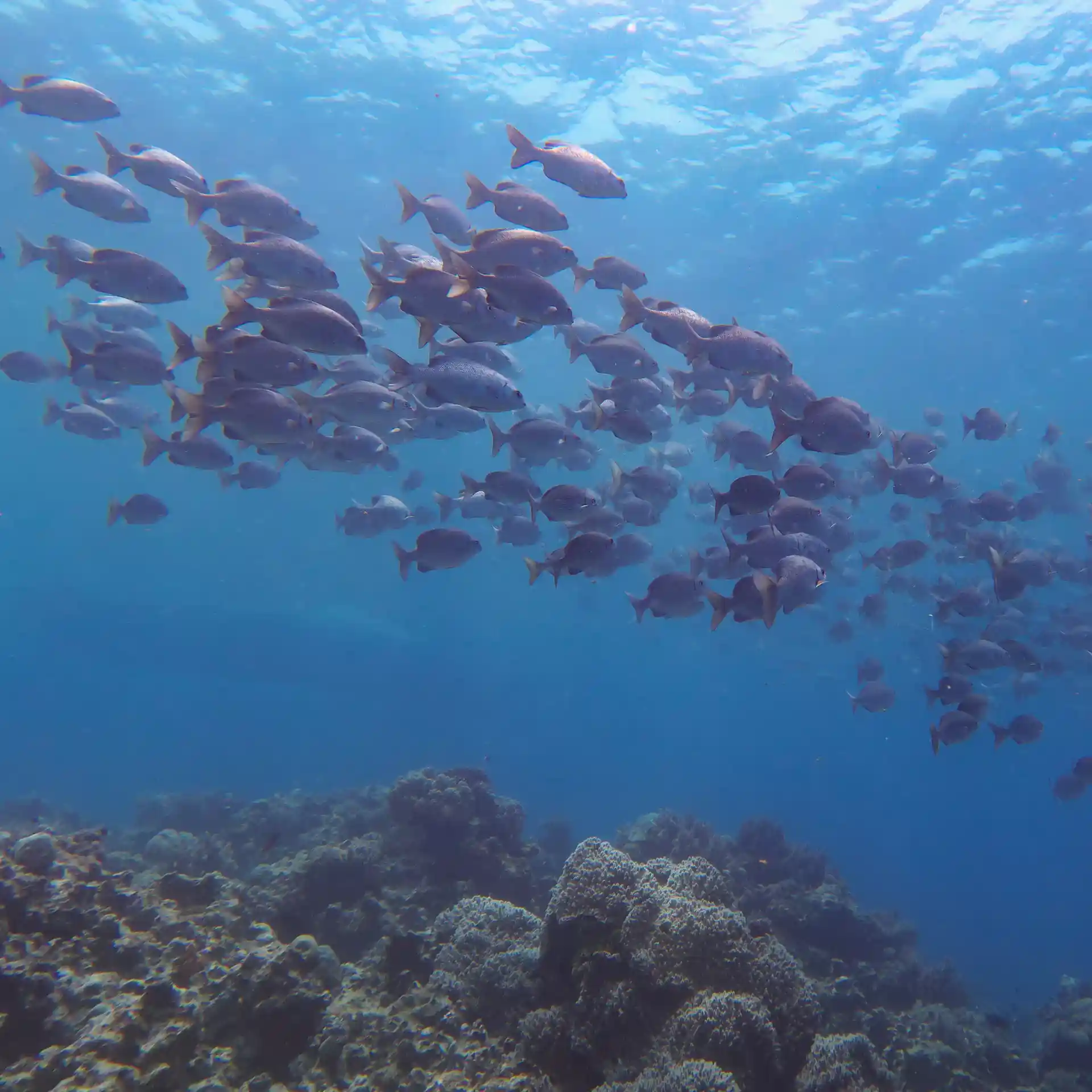 Foto de la actividad