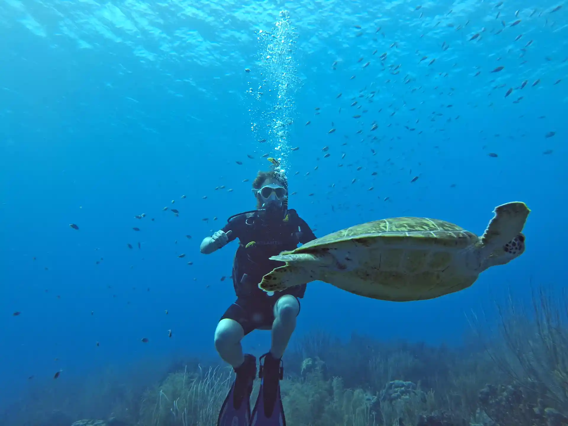 Get back into diving with PADI ReActivate on Bonaire. Small groups of max 4 and calm, personal instruction to rebuild confidence.
