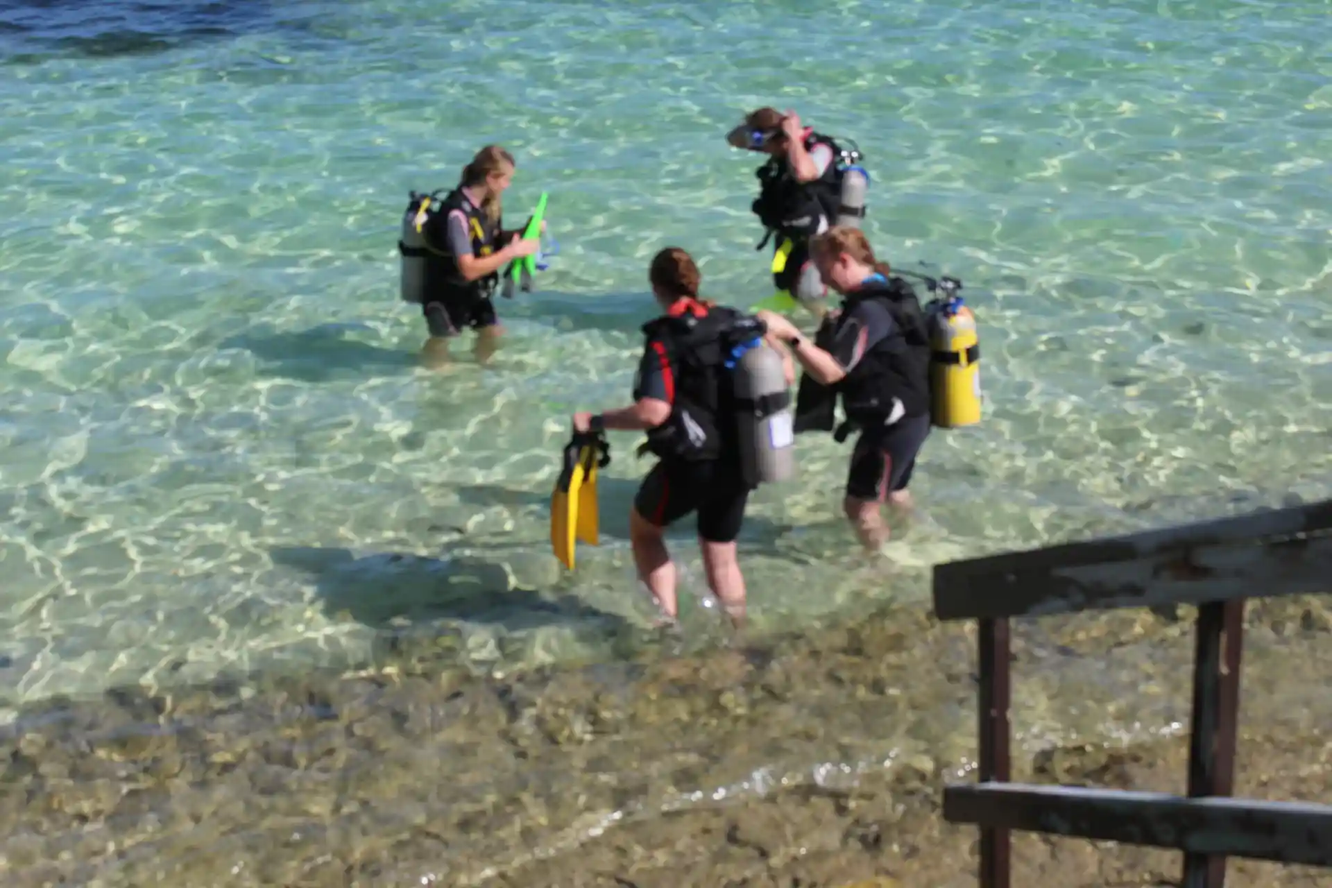 Dive shop photo