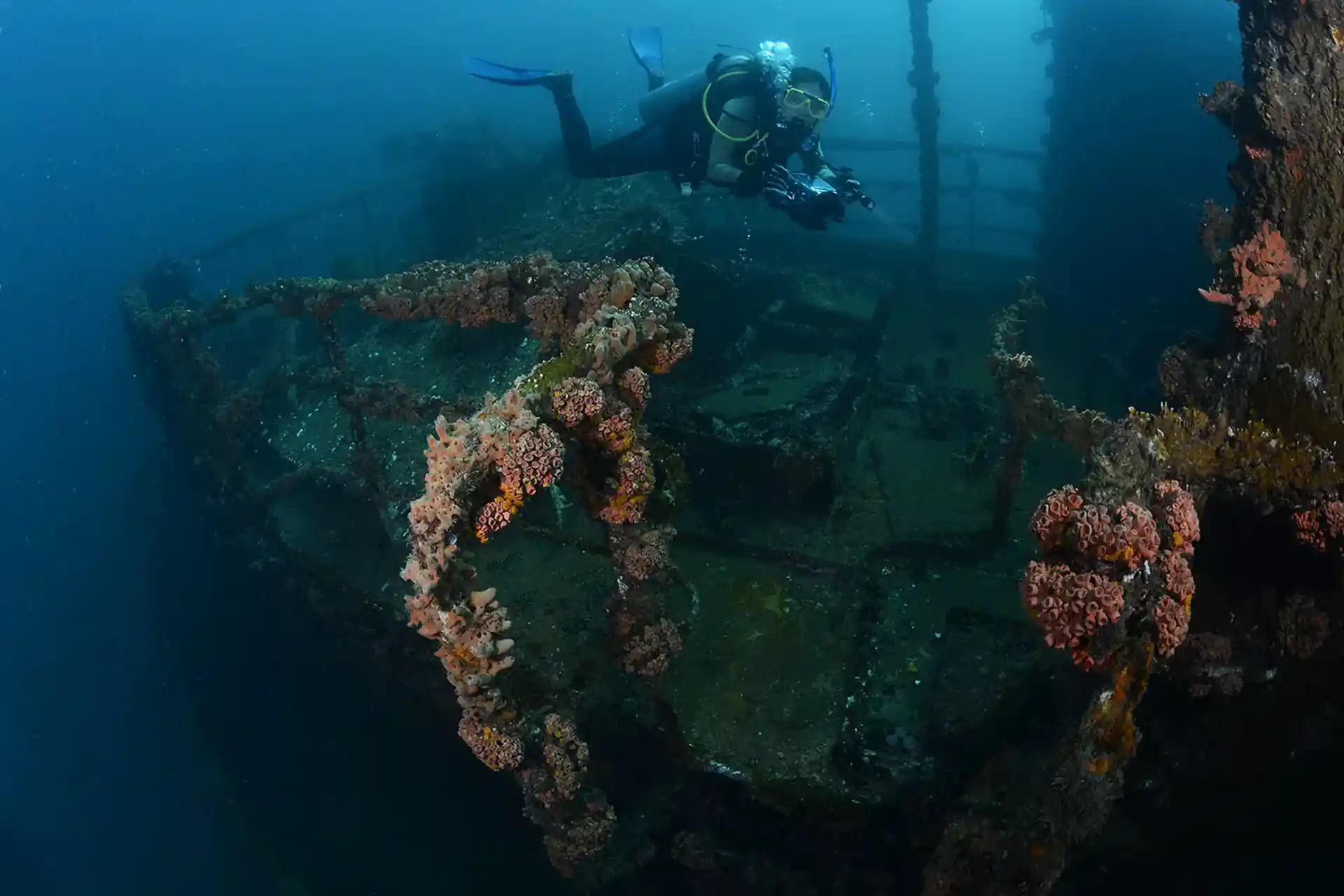 Dive site photo