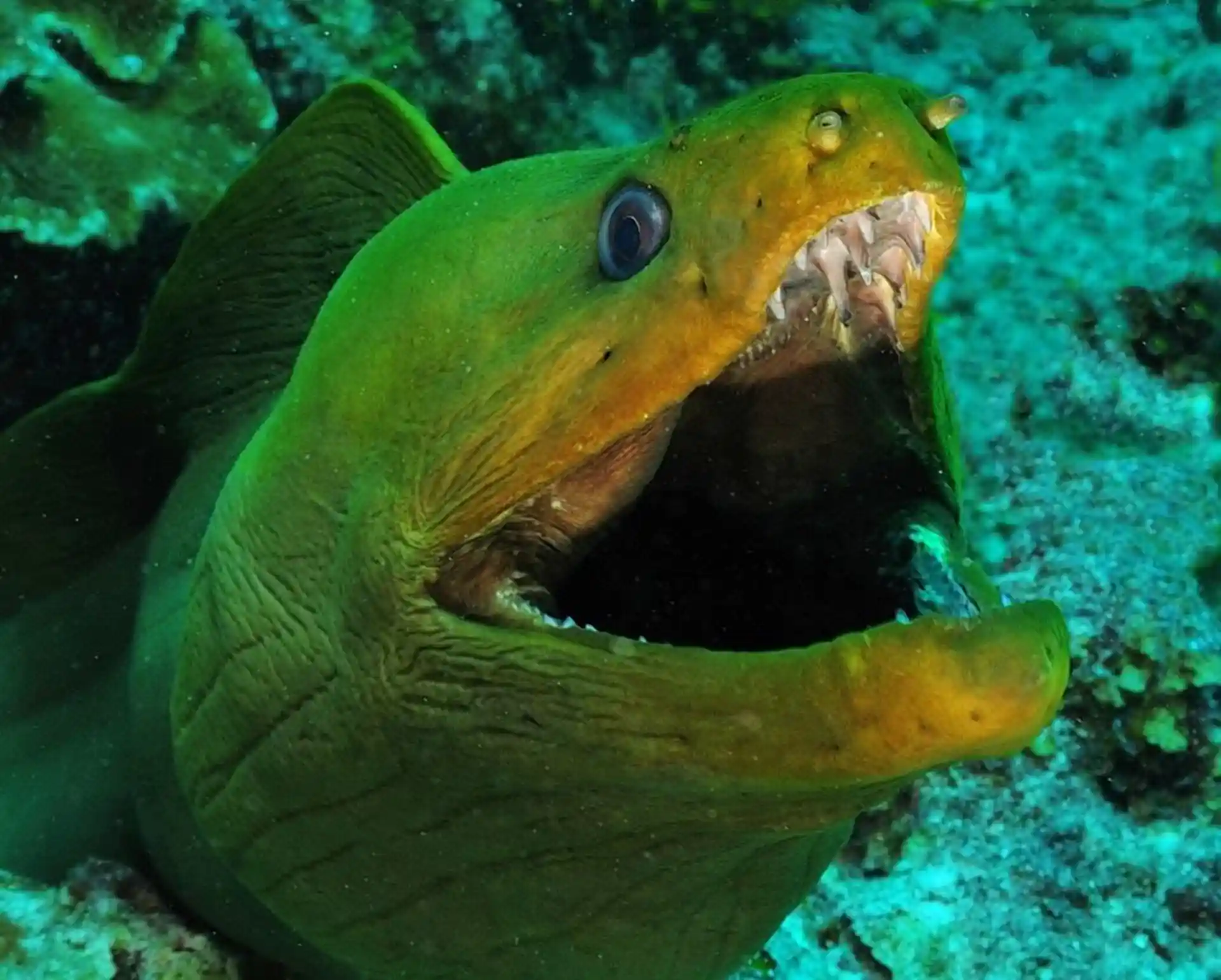 Dive shop photo