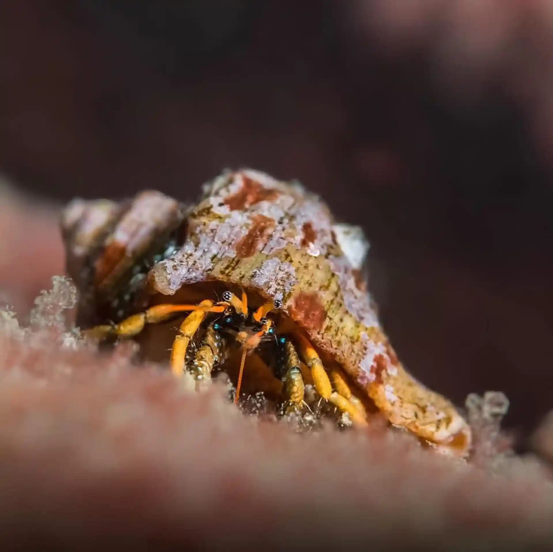 ダイビングサイトの写真