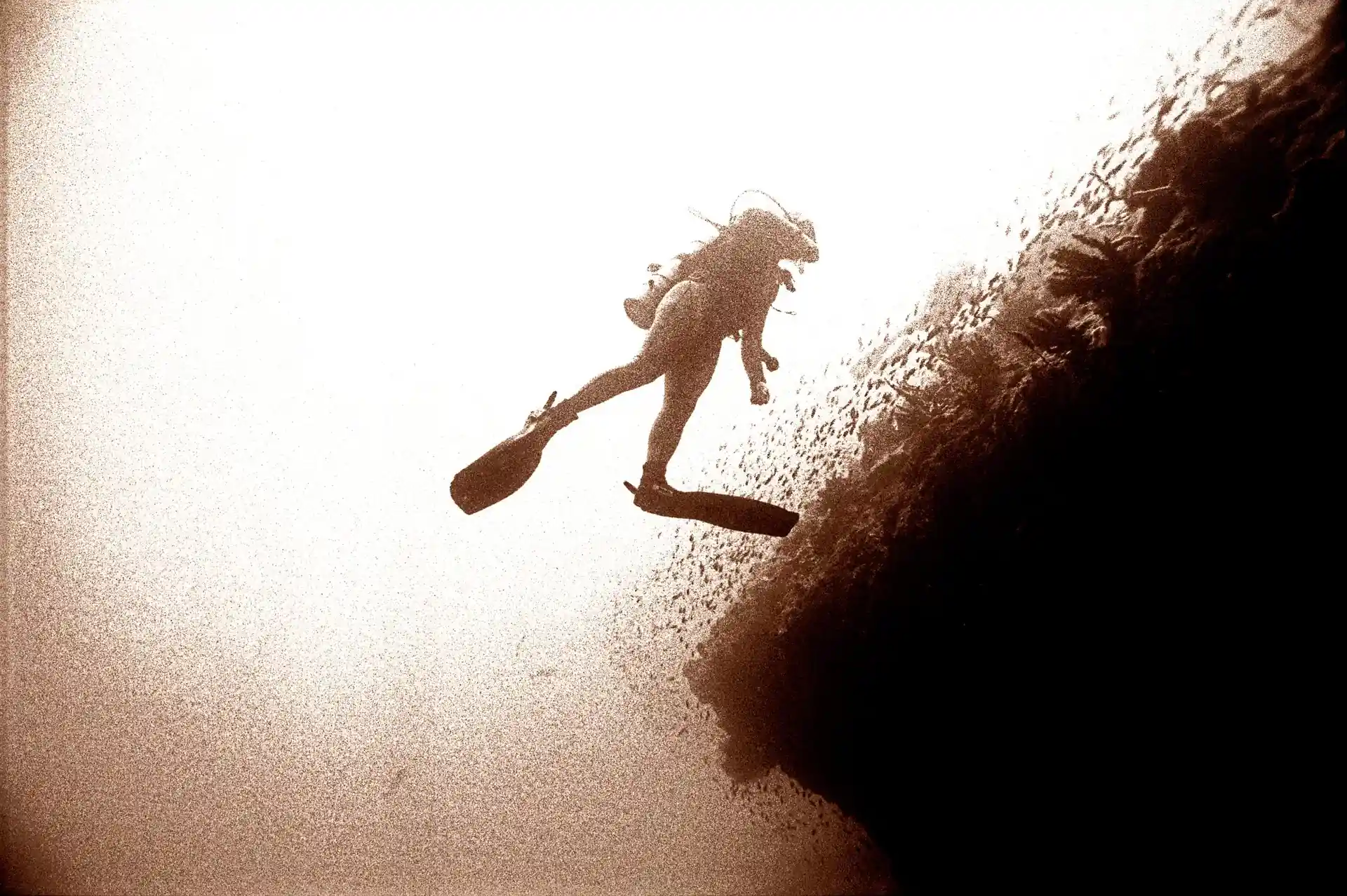 Foto de la tienda de buceo