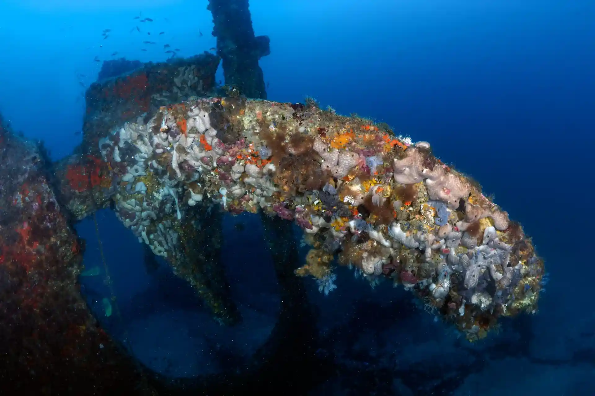 Foto del sitio de buceo
