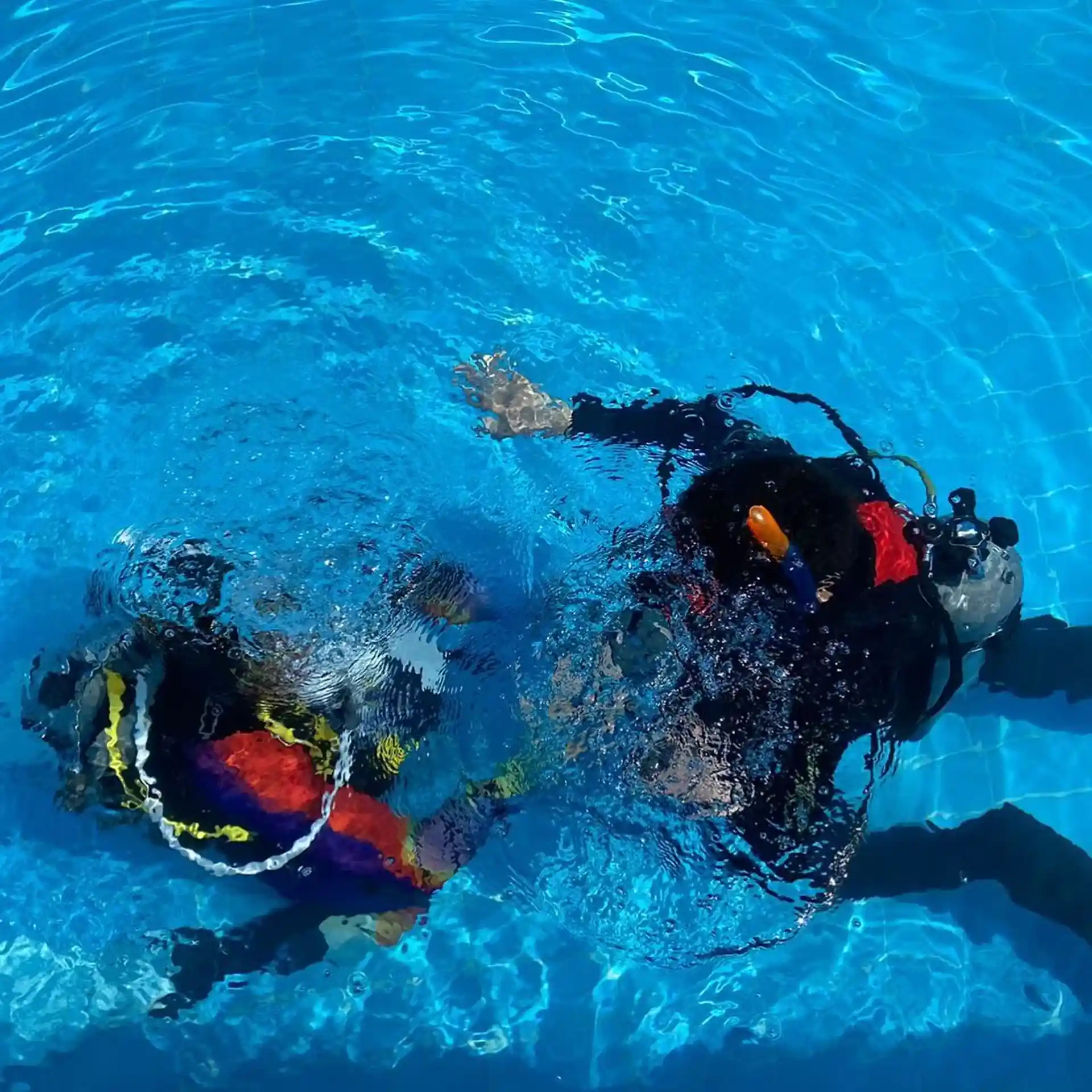 Dive shop photo
