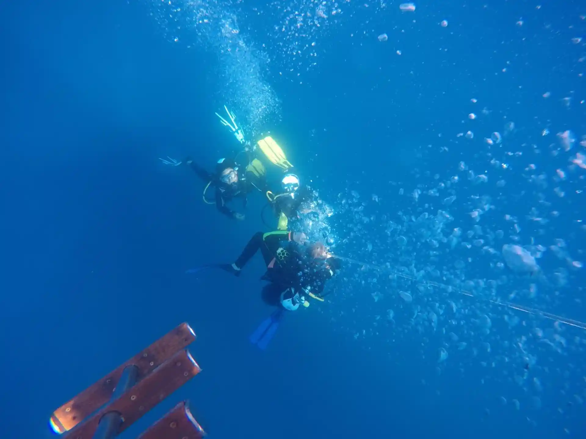 Photo de l'activité