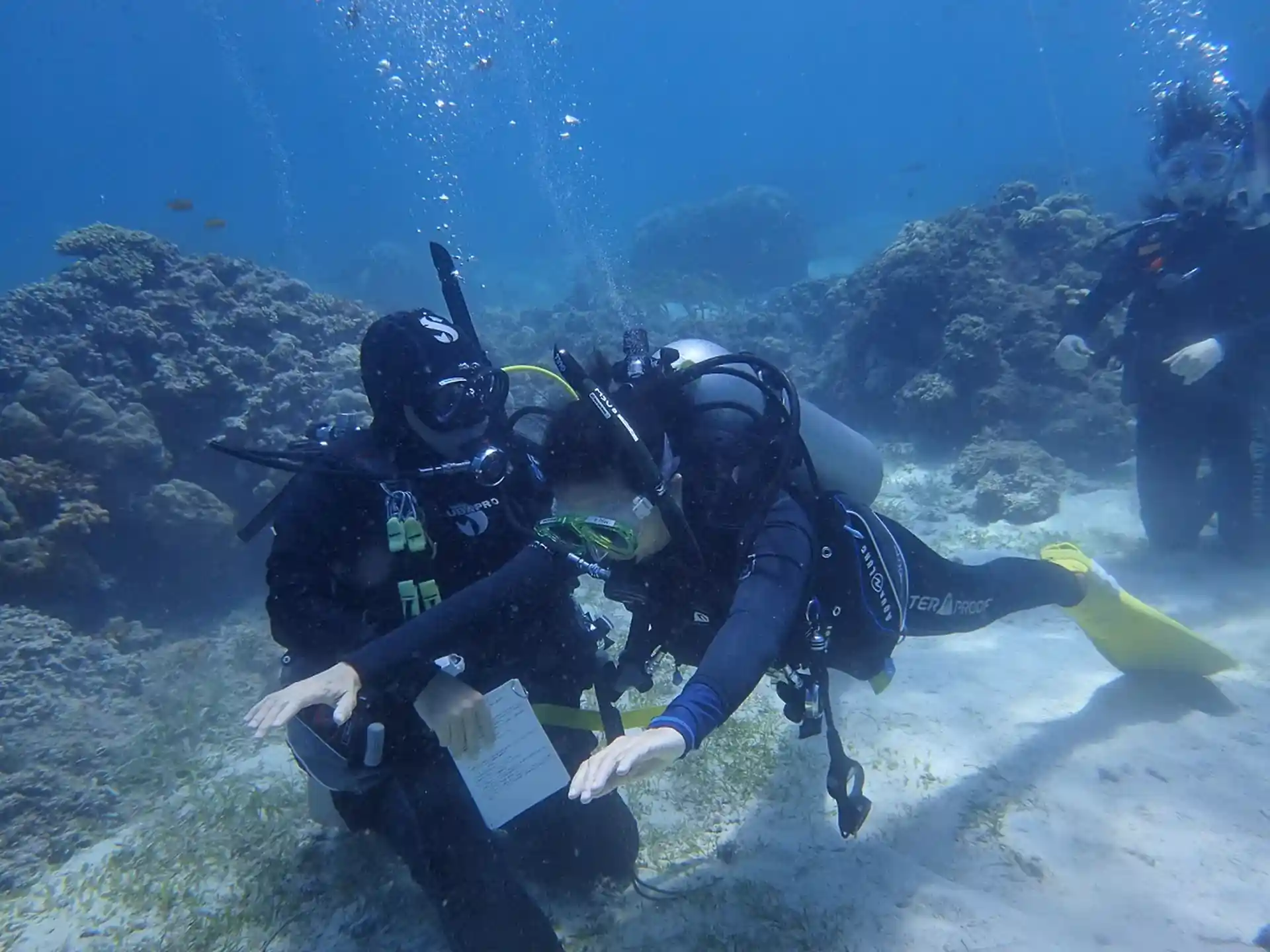 Sharpening skills through Efficient Scuba Diving Practice—focused training that builds confidence, control, and true underwater mastery.