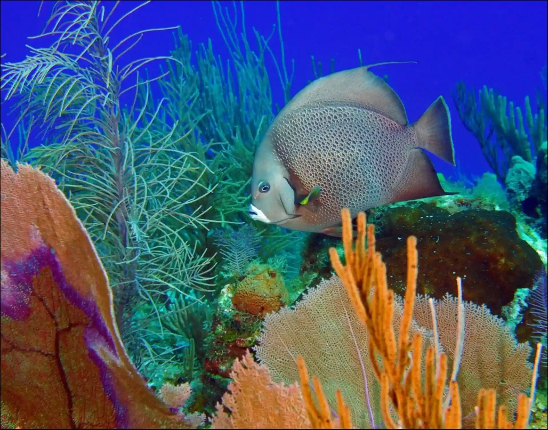 ダイビングショップの写真