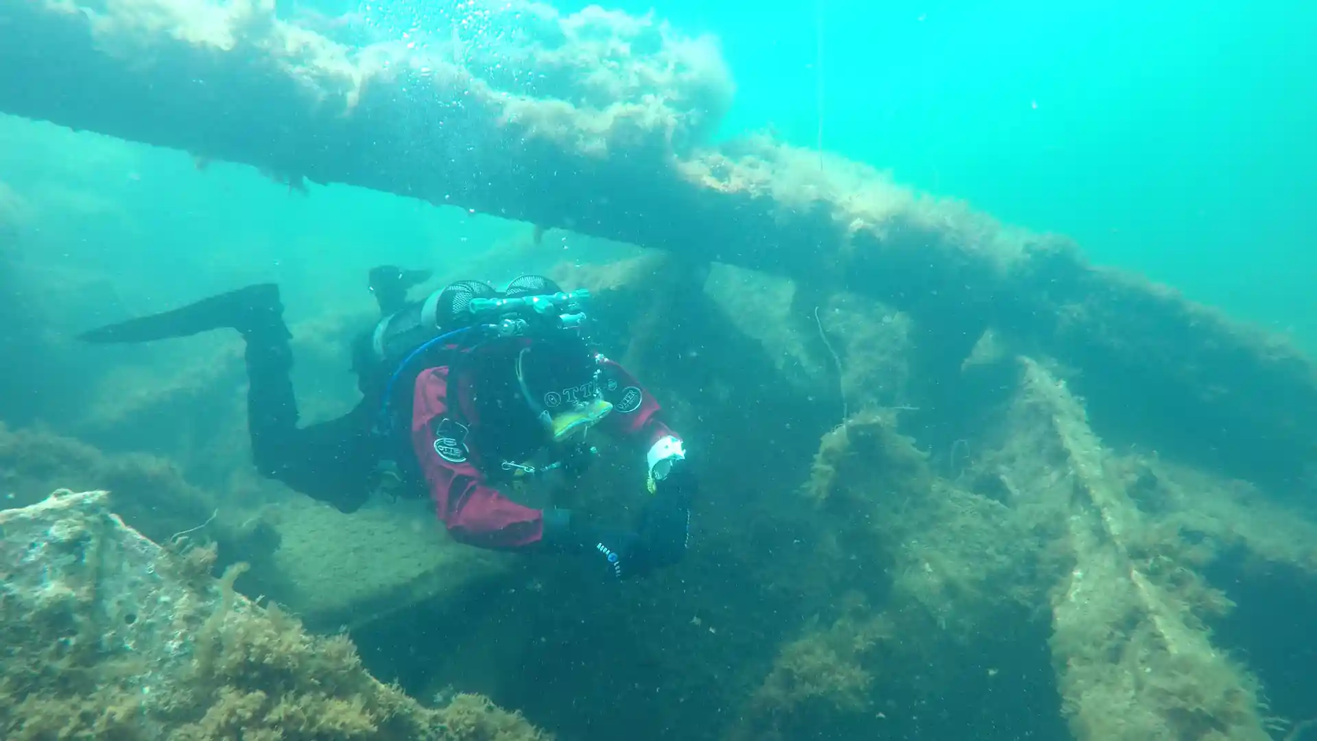 ダイビングサイトの写真