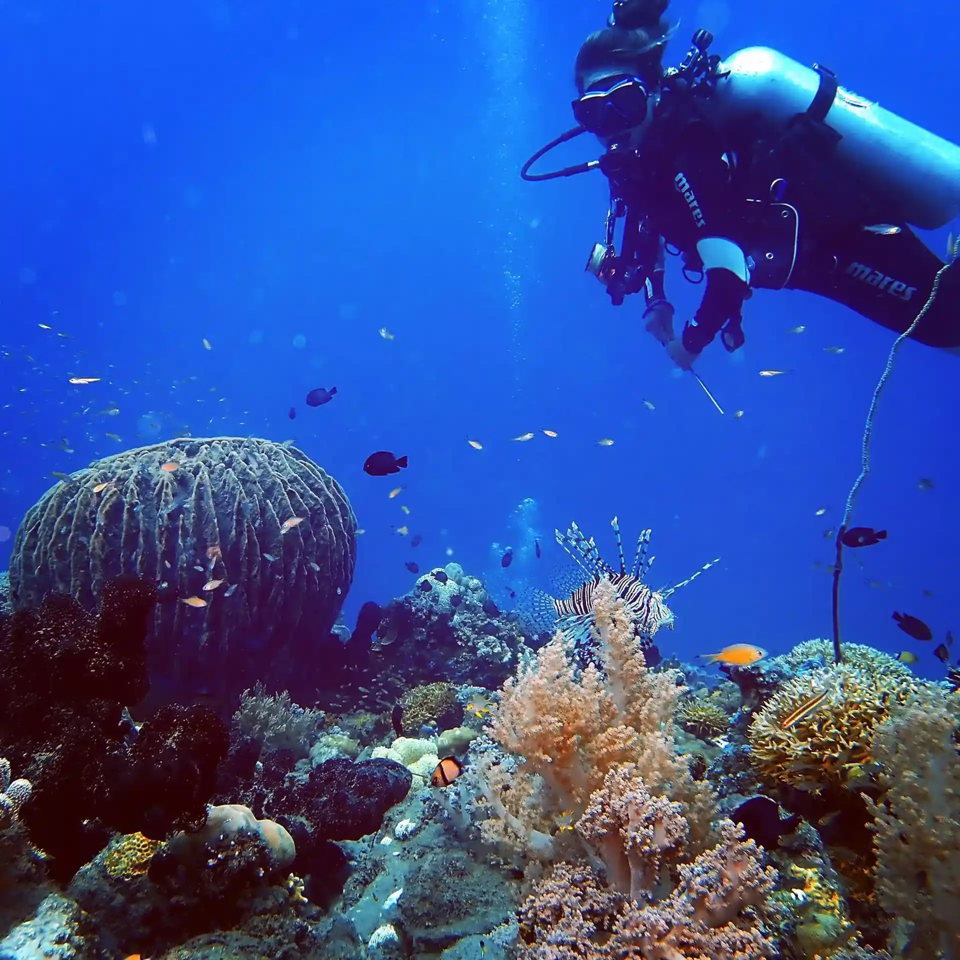 Dive shop photo