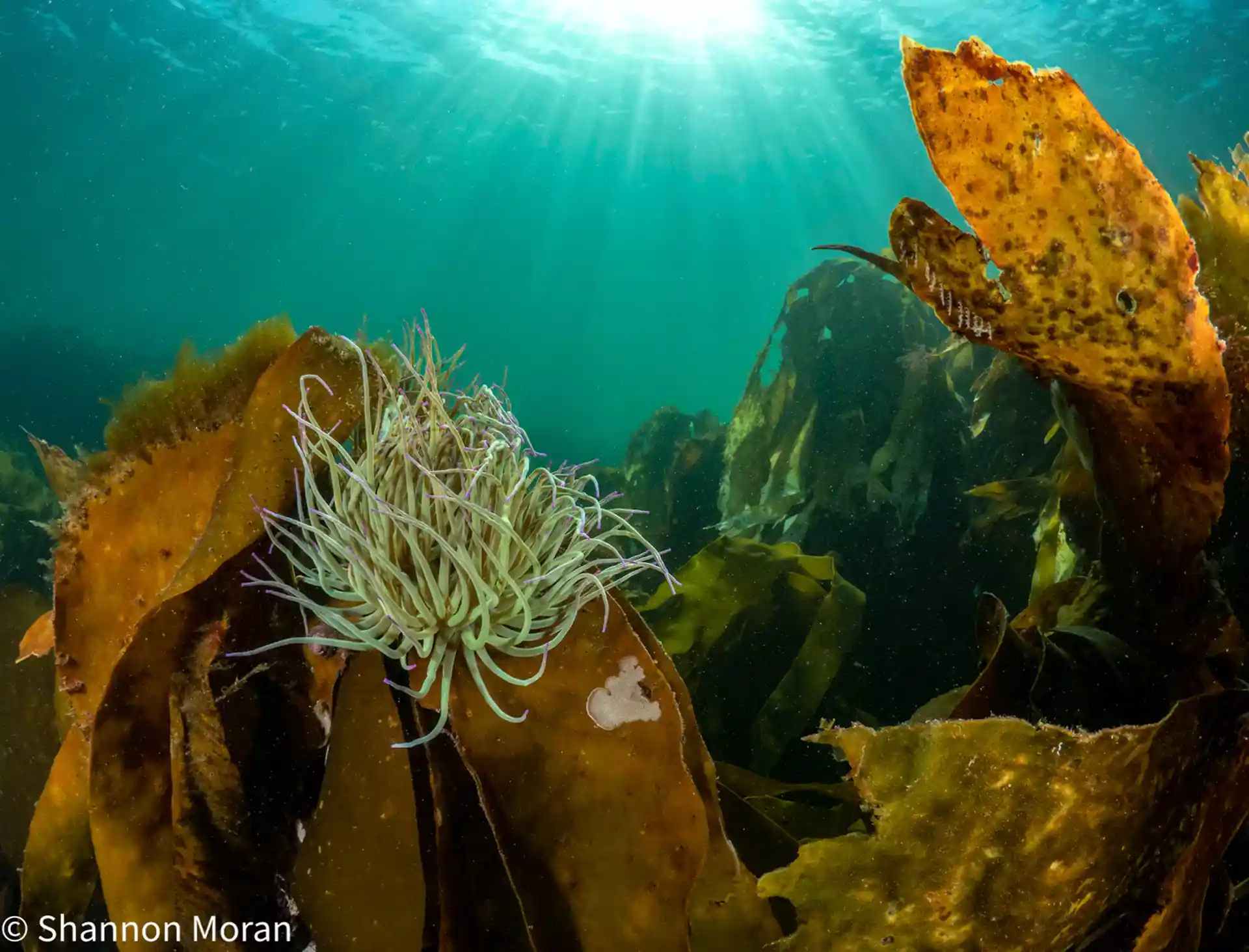 Dive site photo