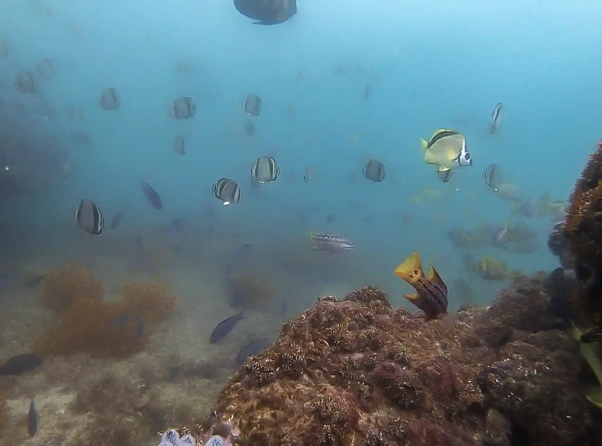 Dive site photo
