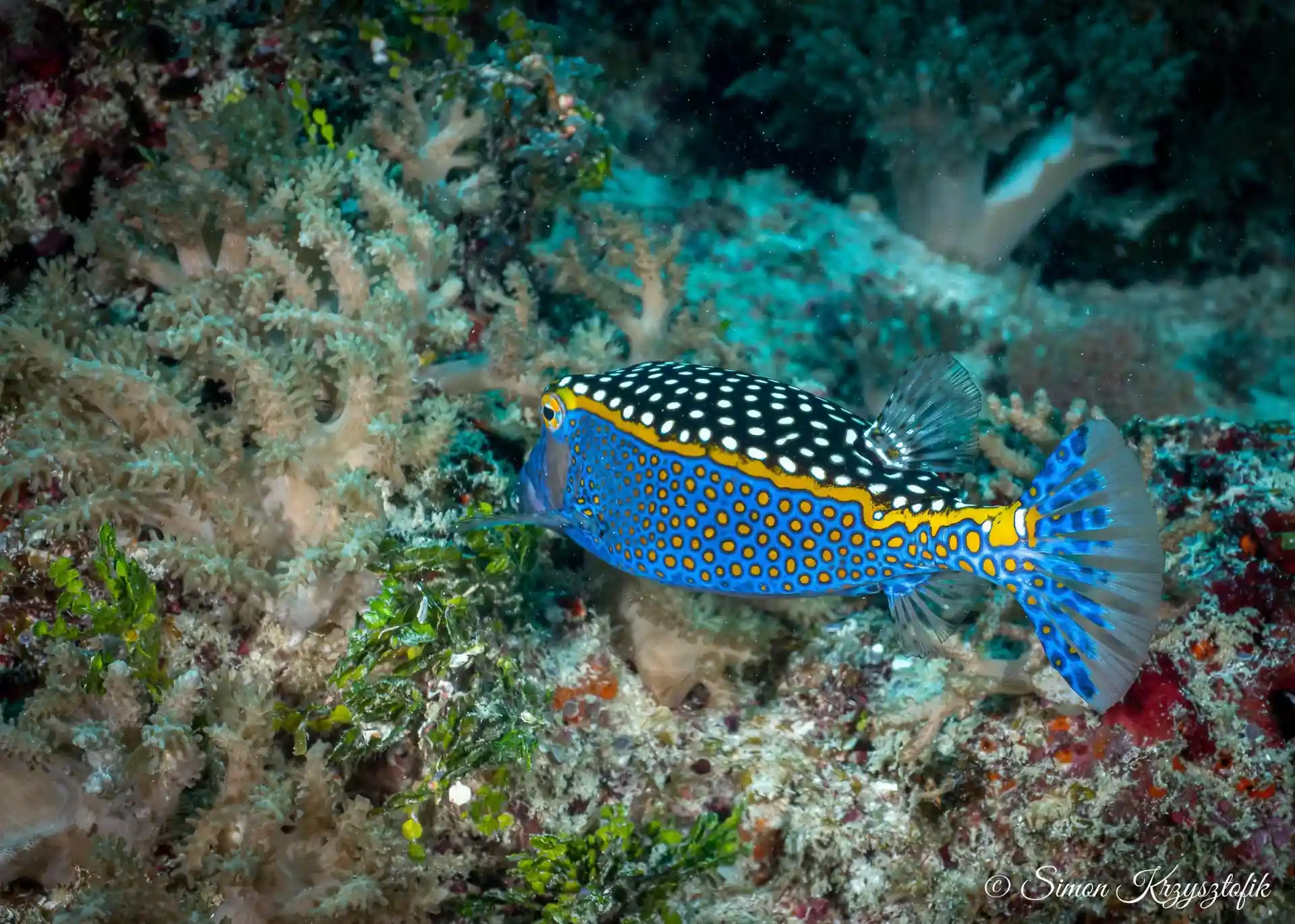 Dive site photo