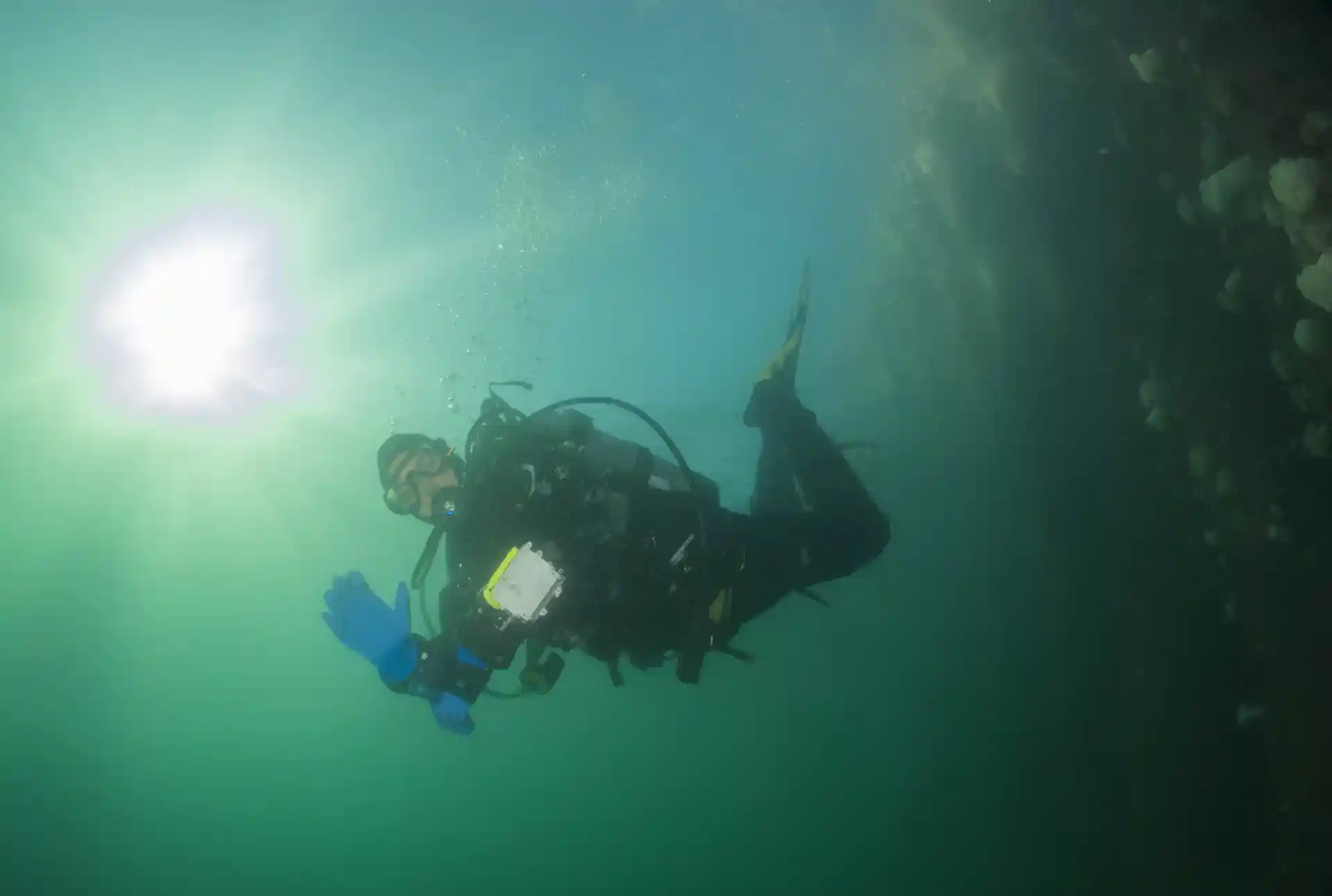 Dive shop photo