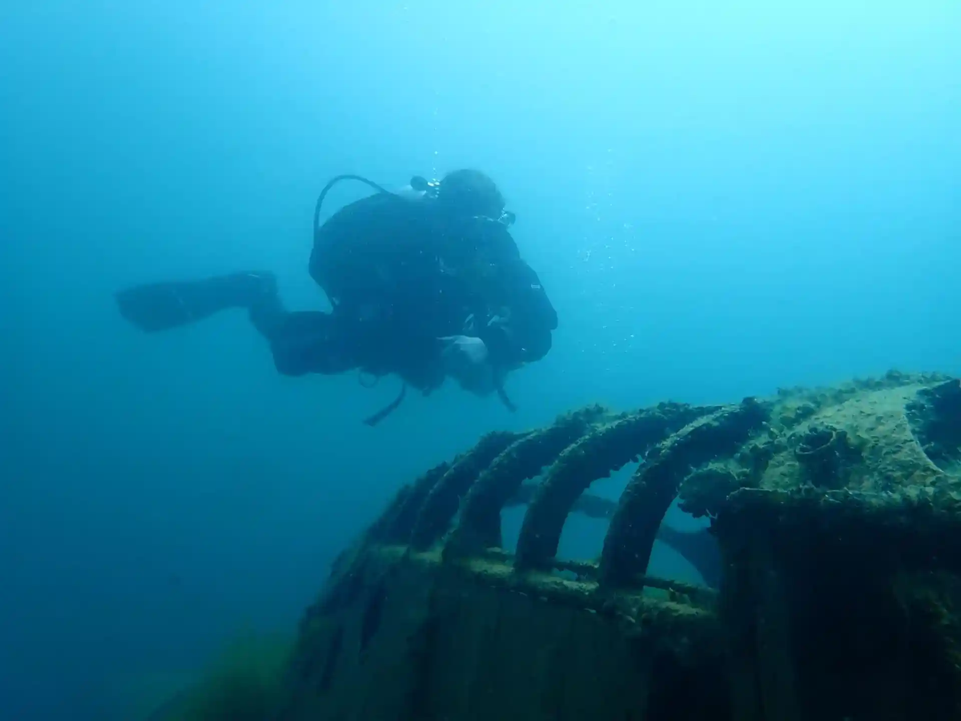 다이빙 포인트 사진