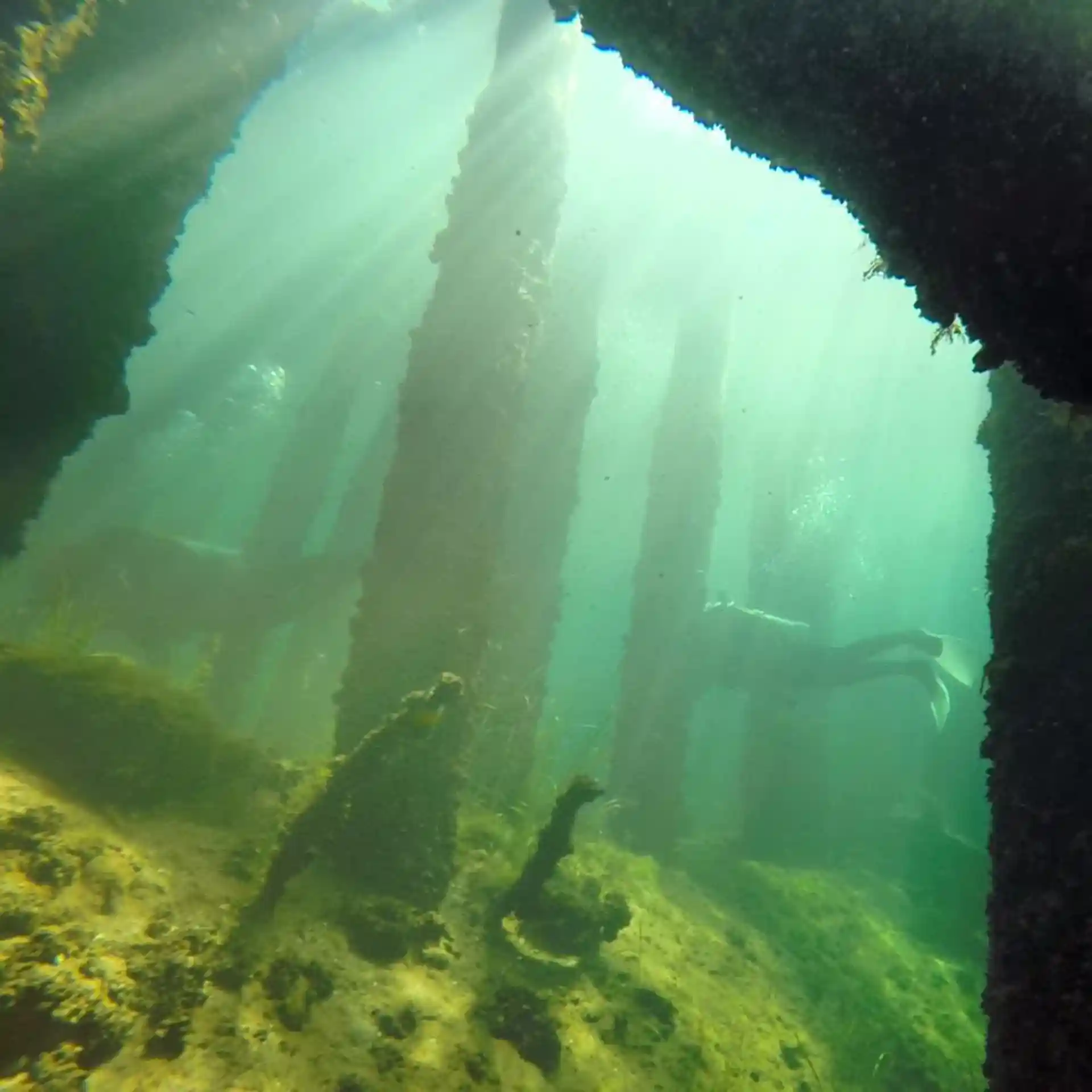 Foto de la tienda de buceo