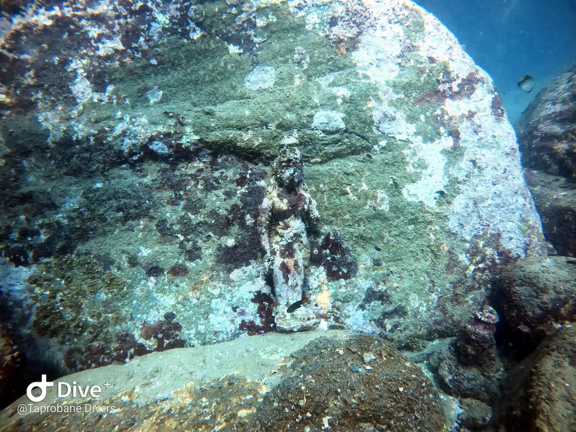 Dive site photo
