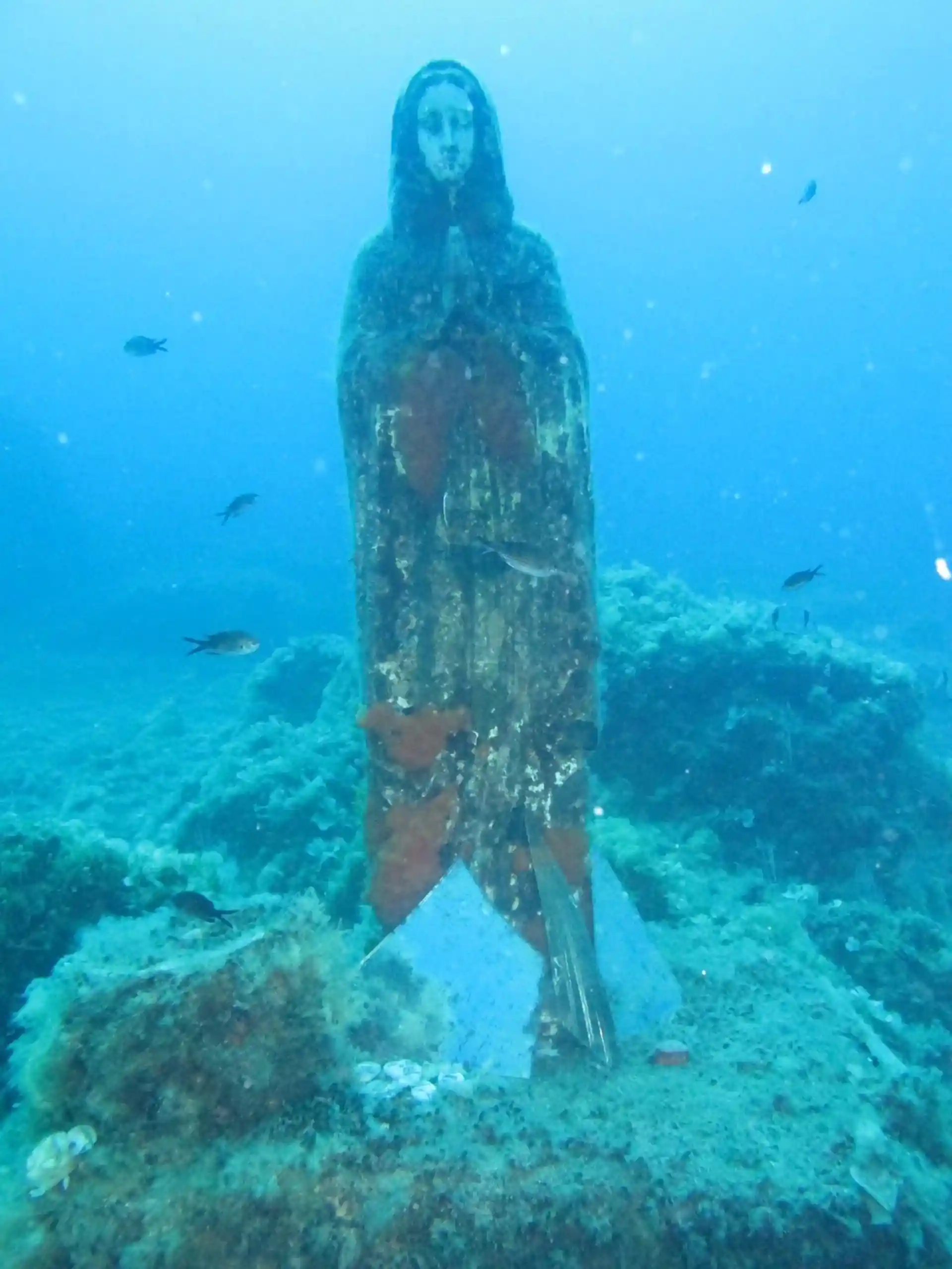 다이빙 포인트 사진