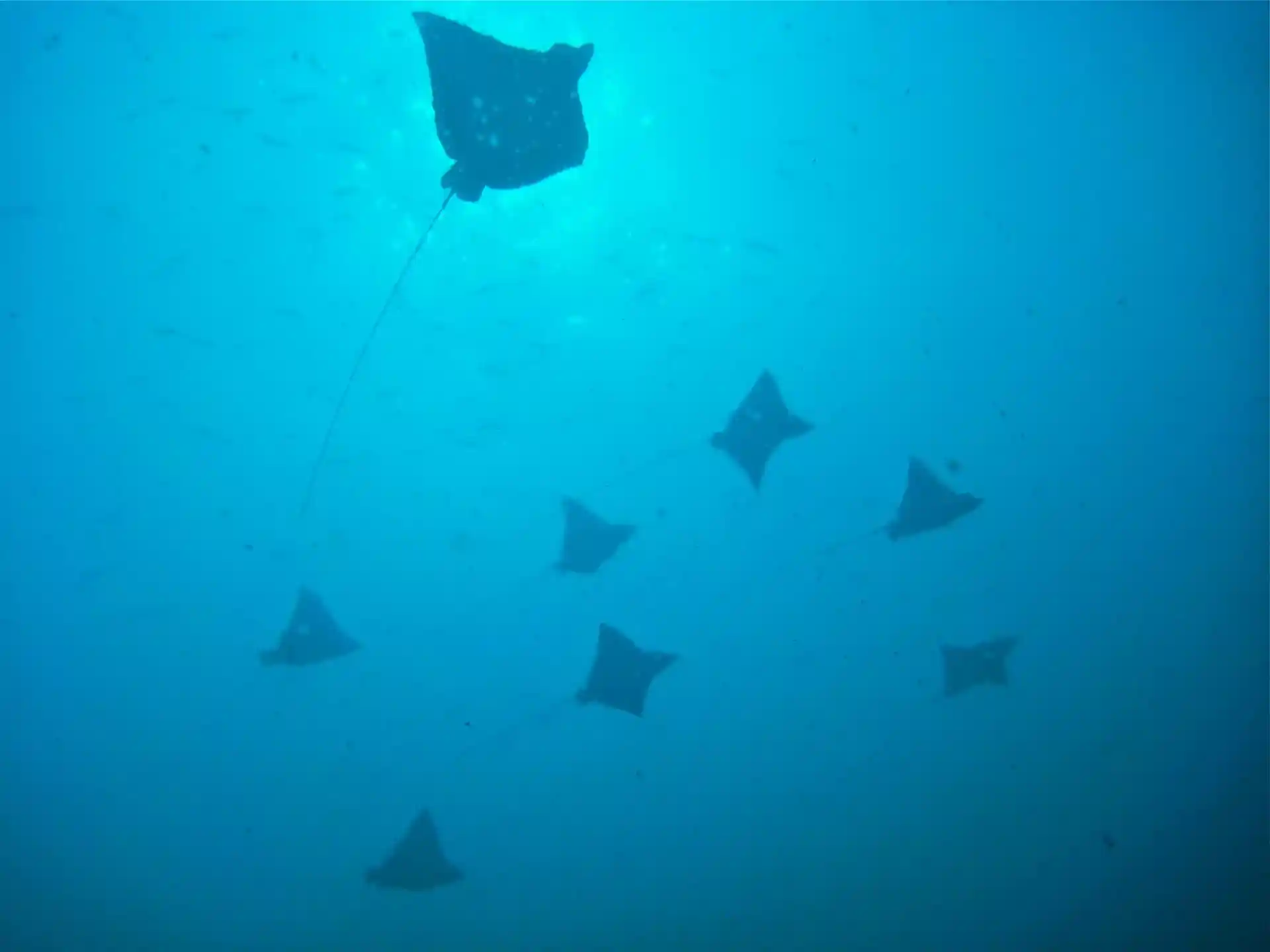 Dive site photo