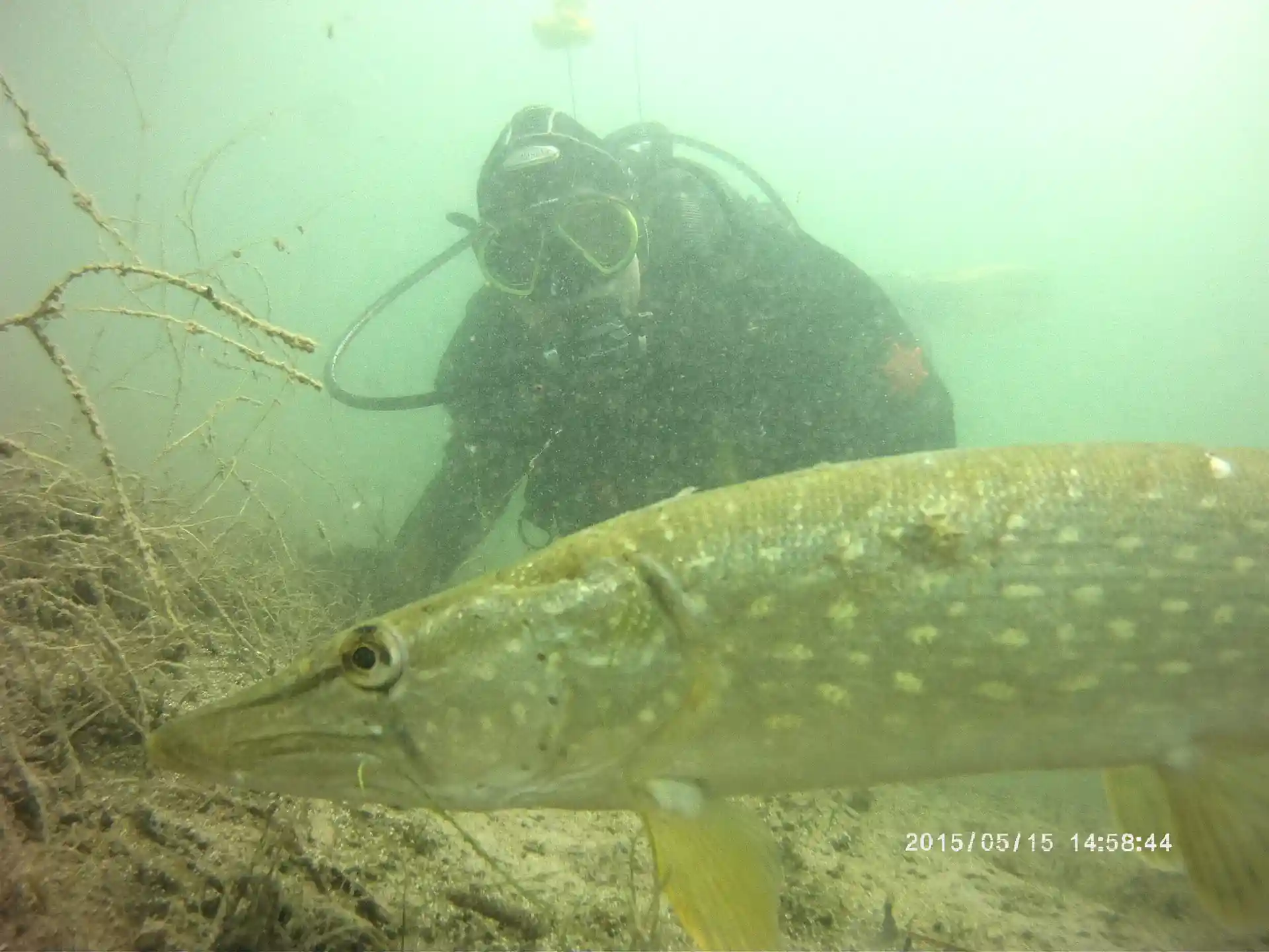 Photo du site de plongée