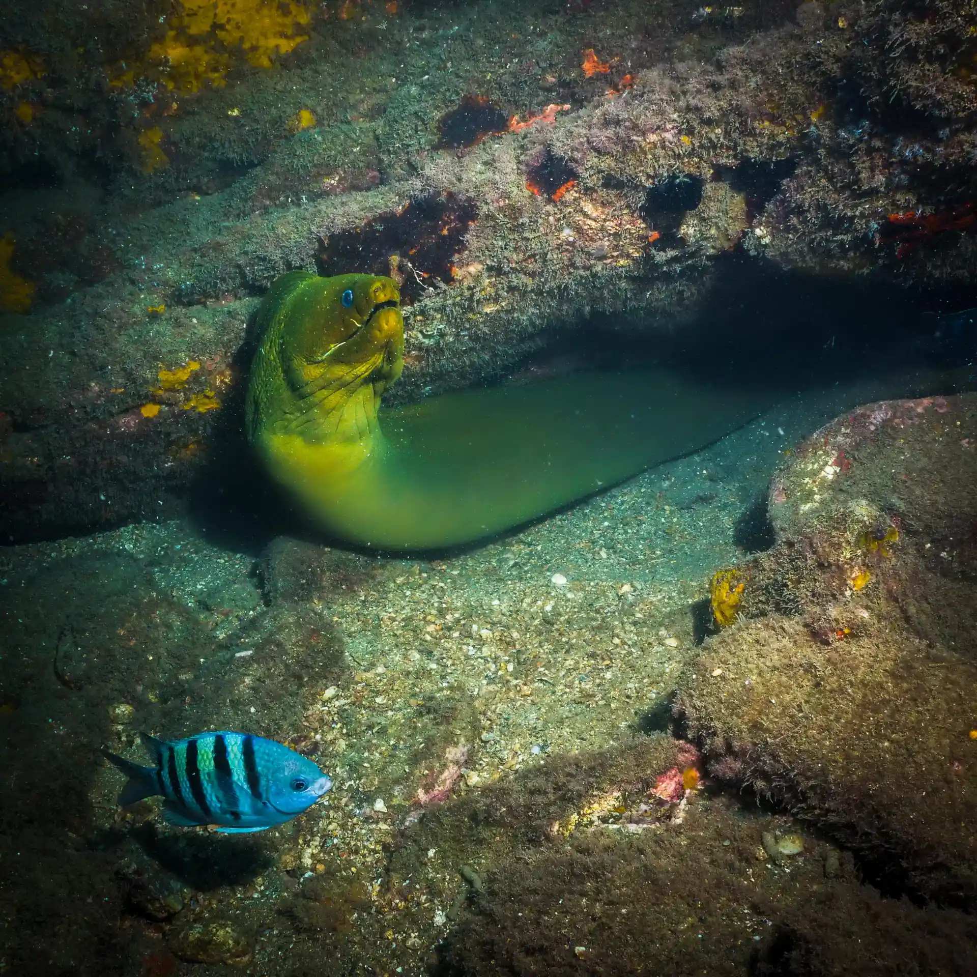 Foto de la tienda de buceo