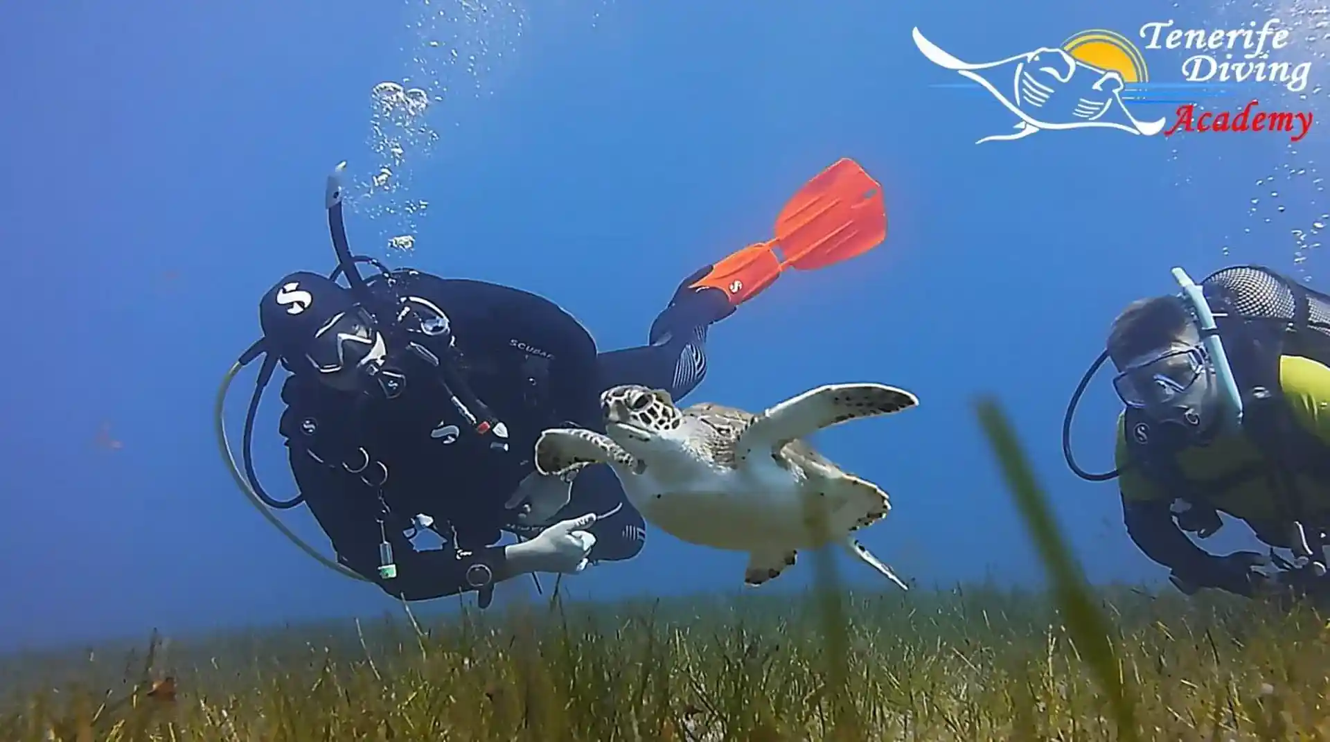 Dive site photo