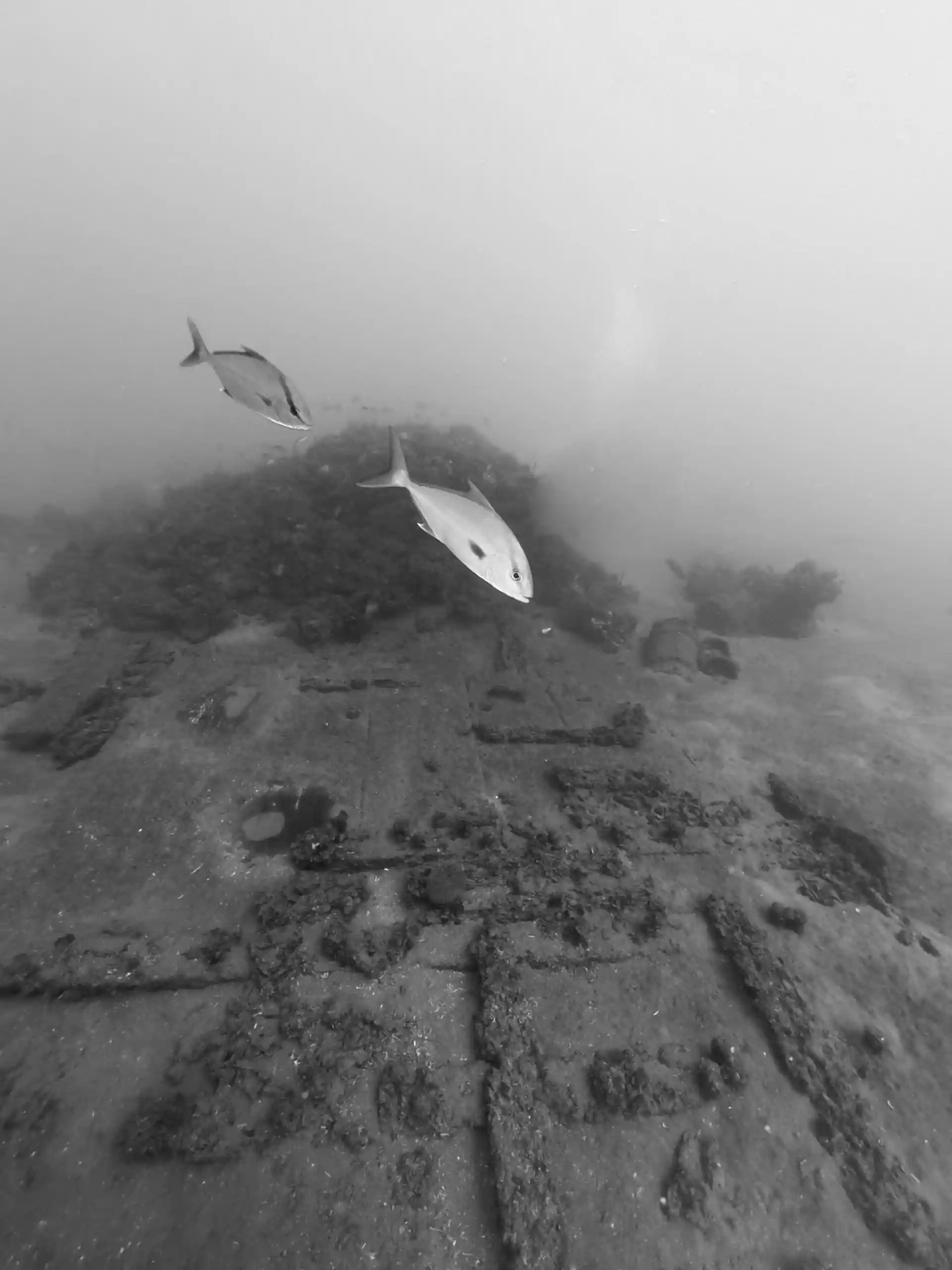 Photo du site de plongée