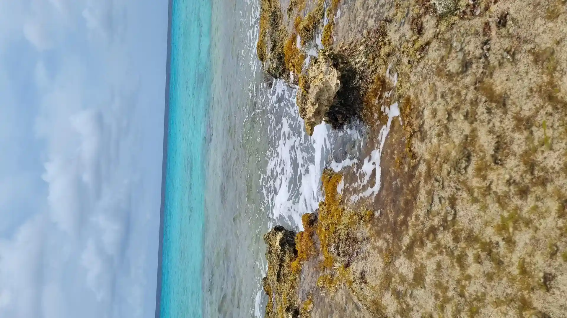 Dive site photo