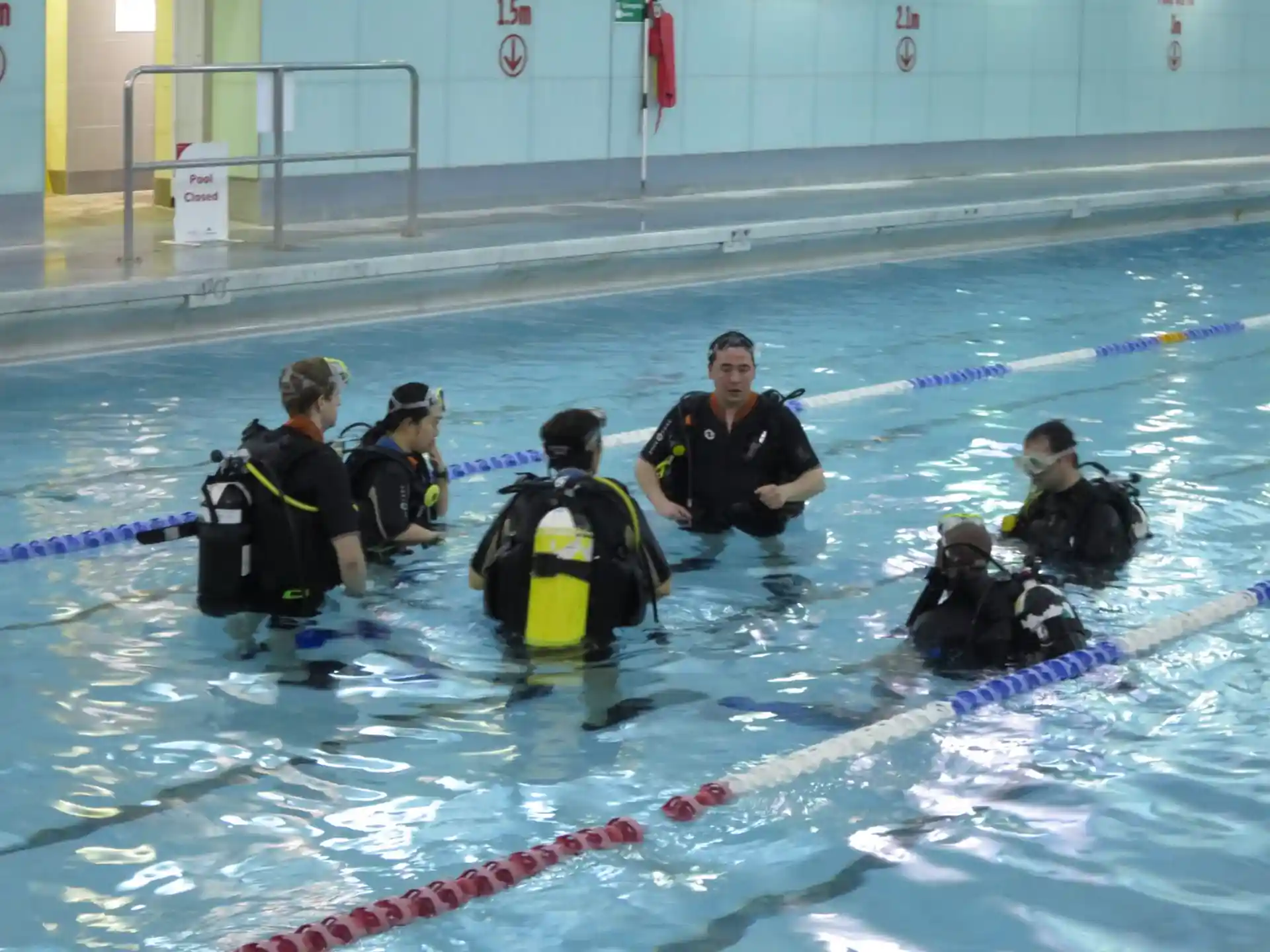 Divers getting ready to dive in our pool