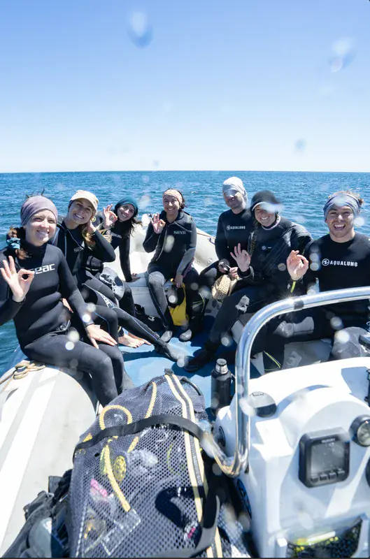 Dive operator picture