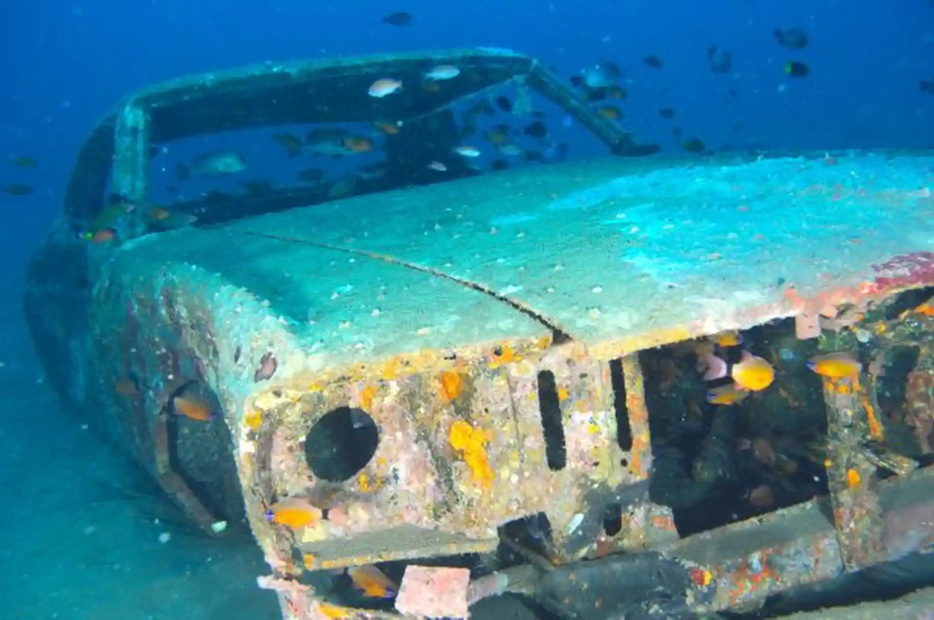 Photo du site de plongée