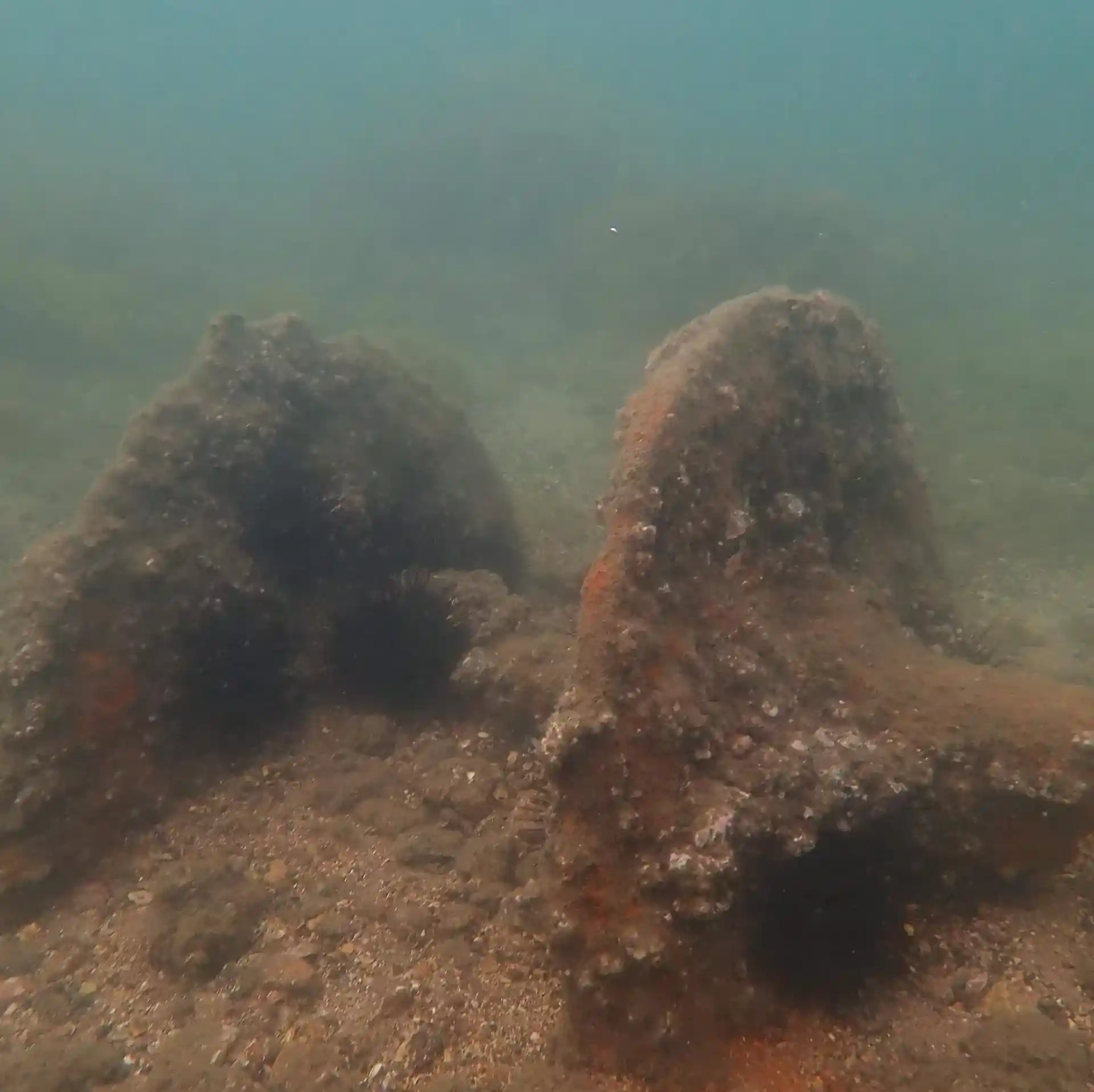 다이빙 포인트 사진