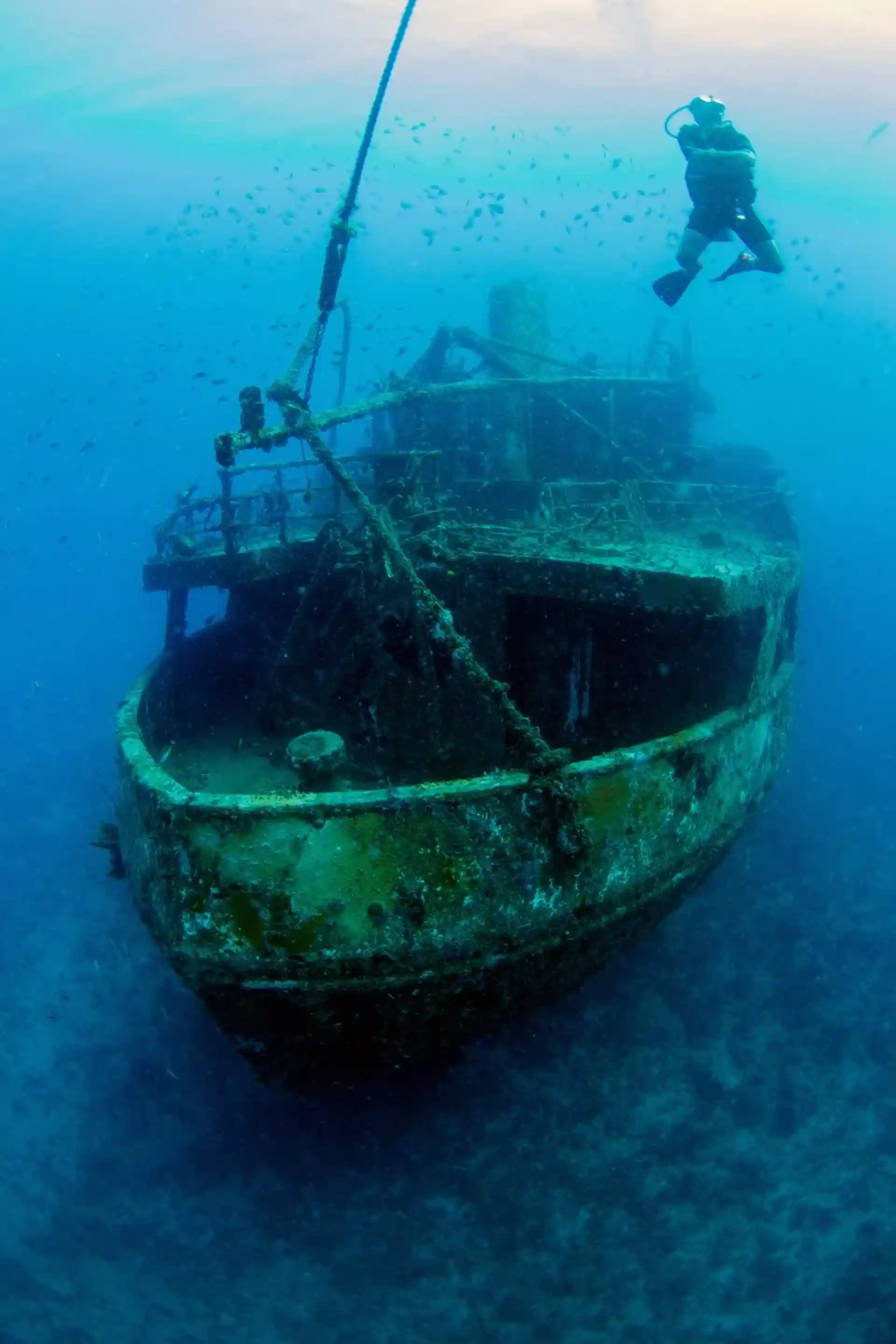 Dive site photo