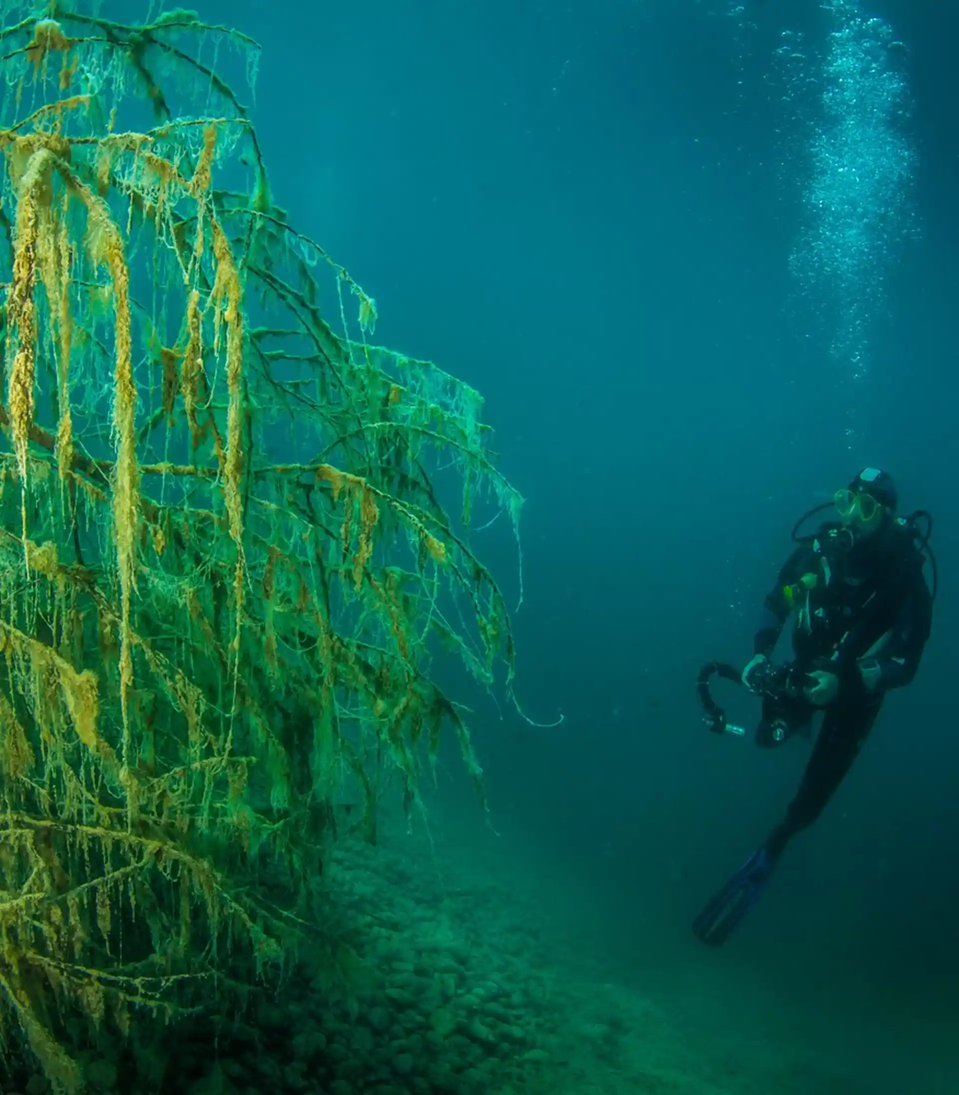 Dive shop photo