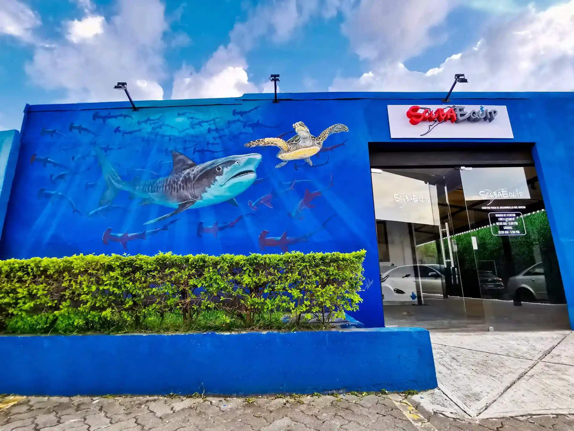 Foto de la tienda de buceo