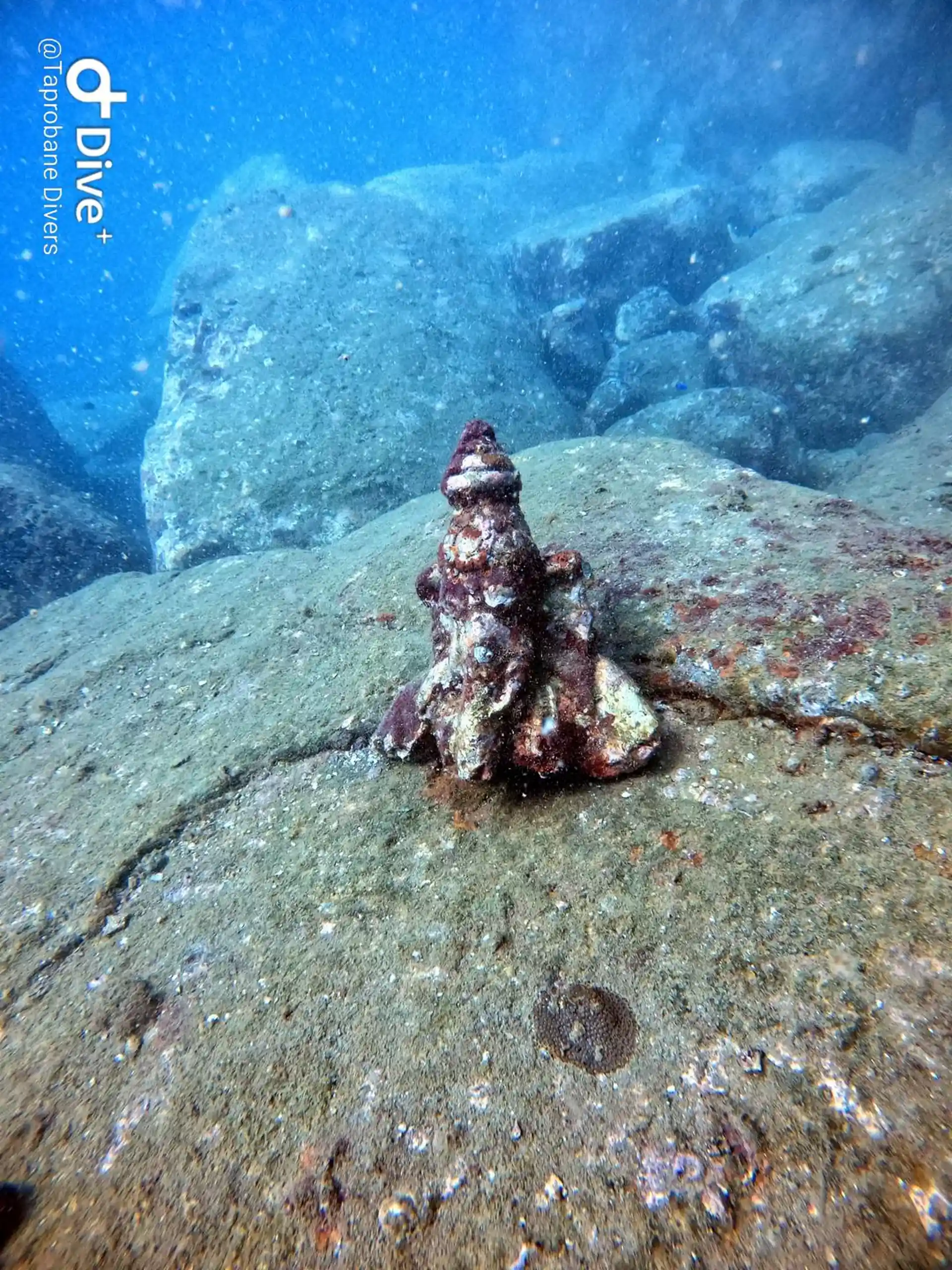 Dive site photo