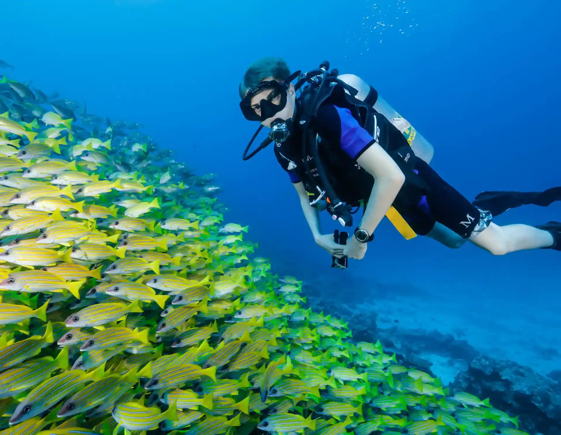 Dive site photo