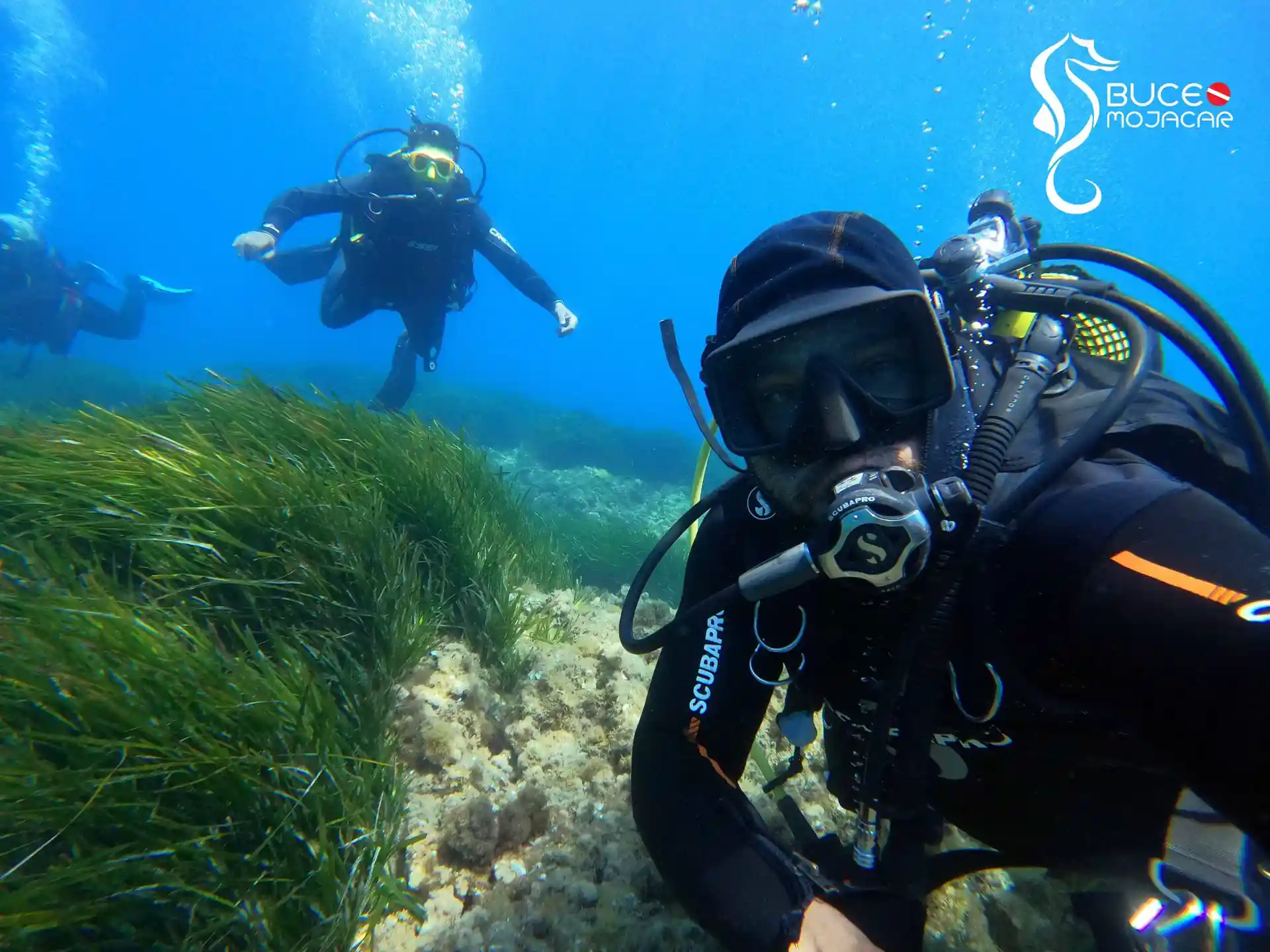 Dive site photo