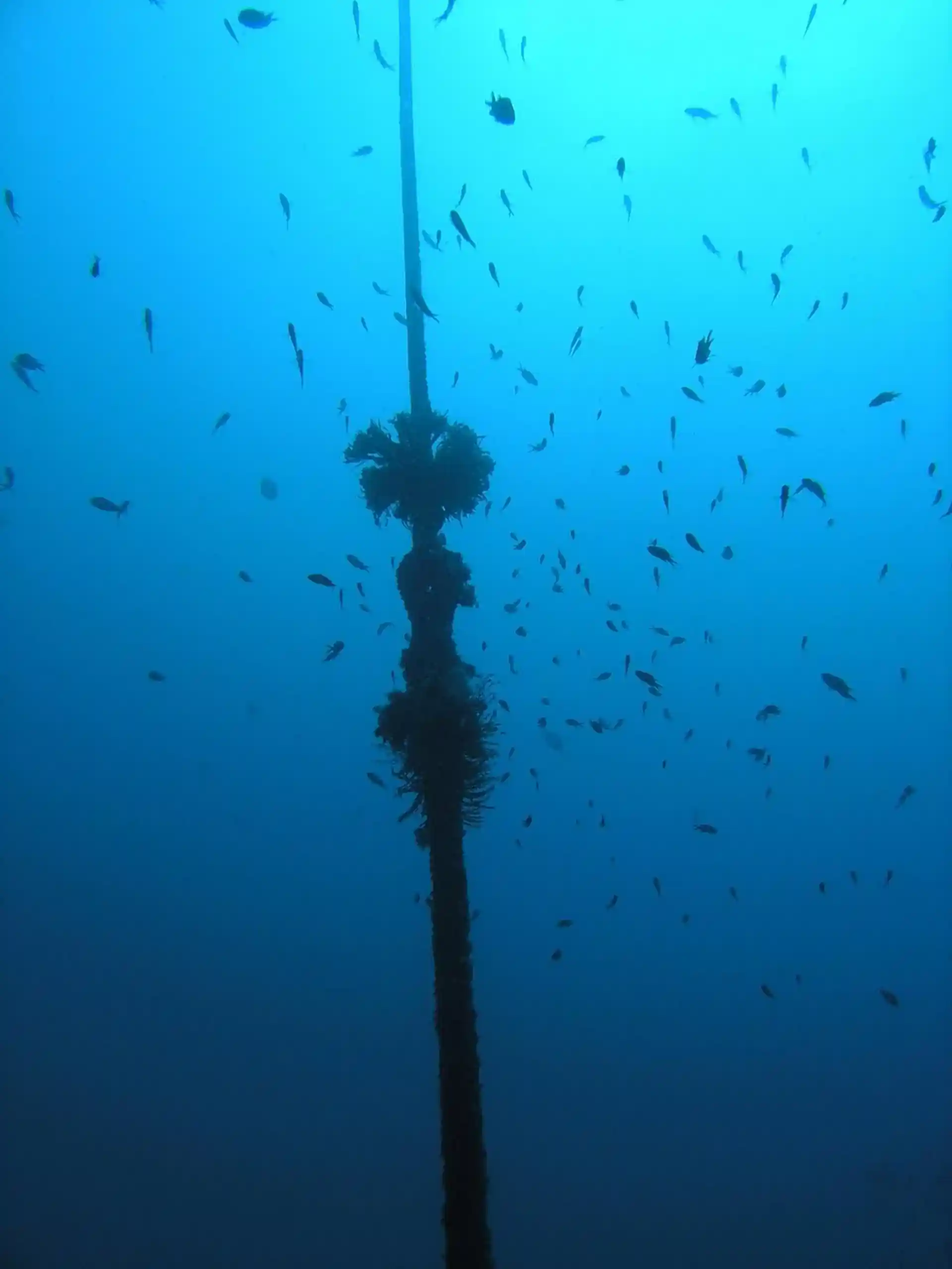 다이빙 포인트 사진