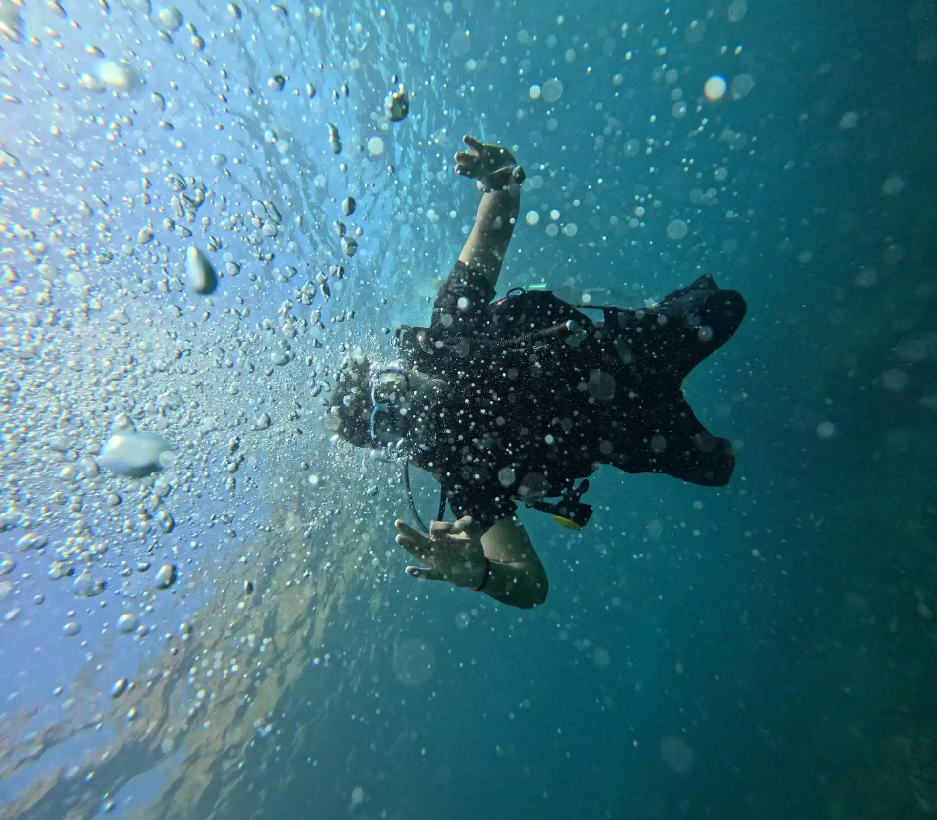 Dive shop photo
